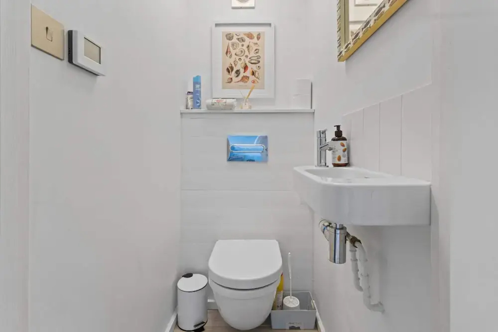 Seashells-stylish Coastal Living