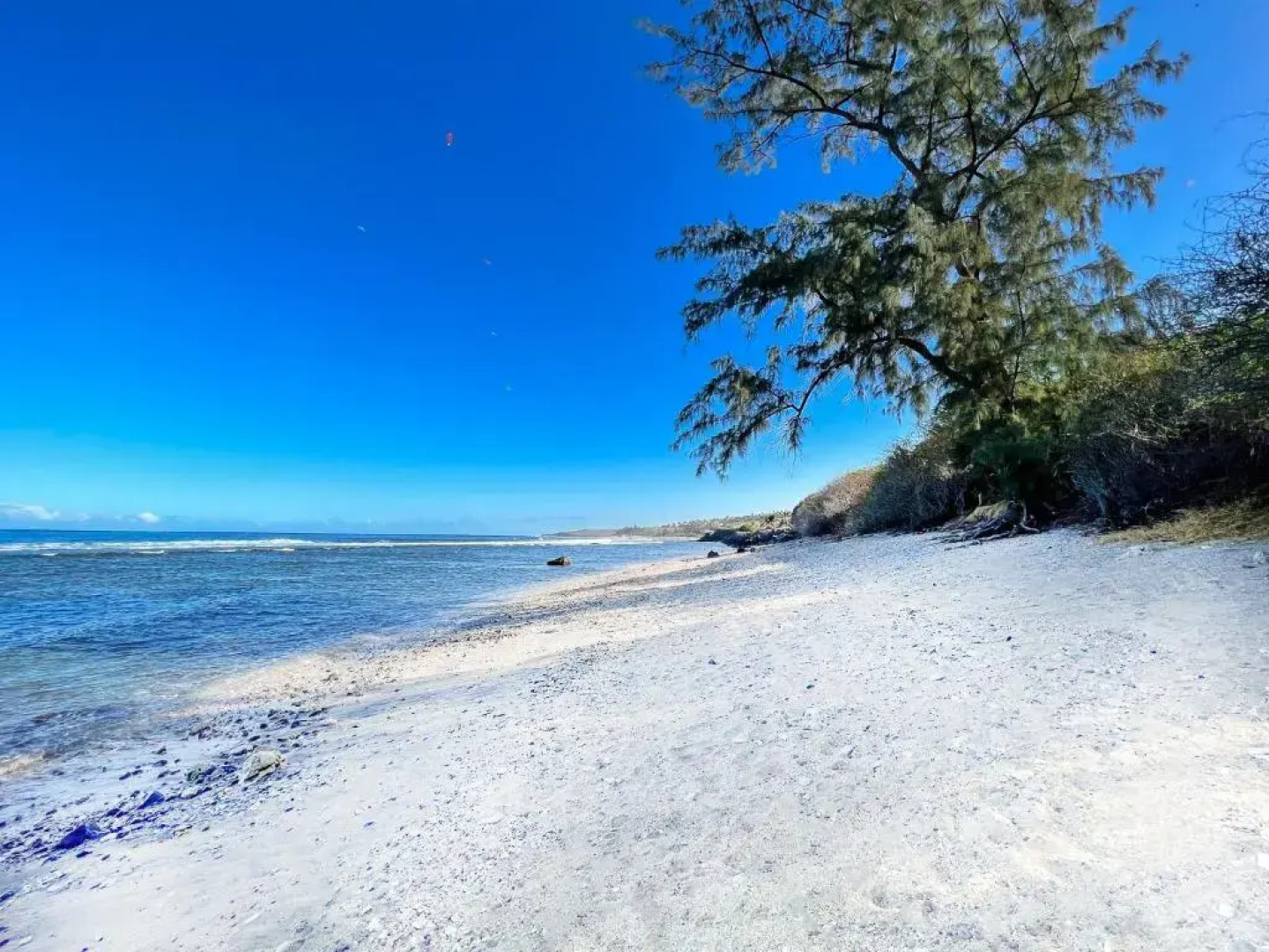 Le Pétrel Bleu - Appartement sur la plage des Tortues à Saint-Leu