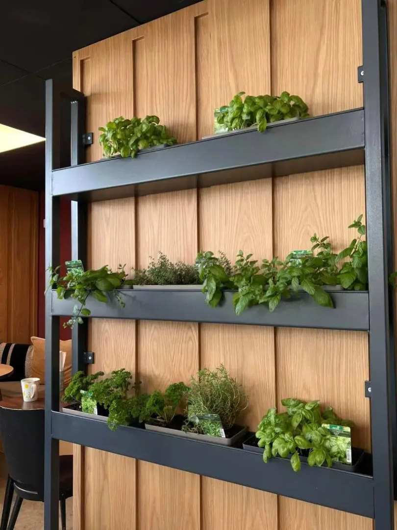 Greet Hotel Bourg-en-Bresse Sud Montagnat