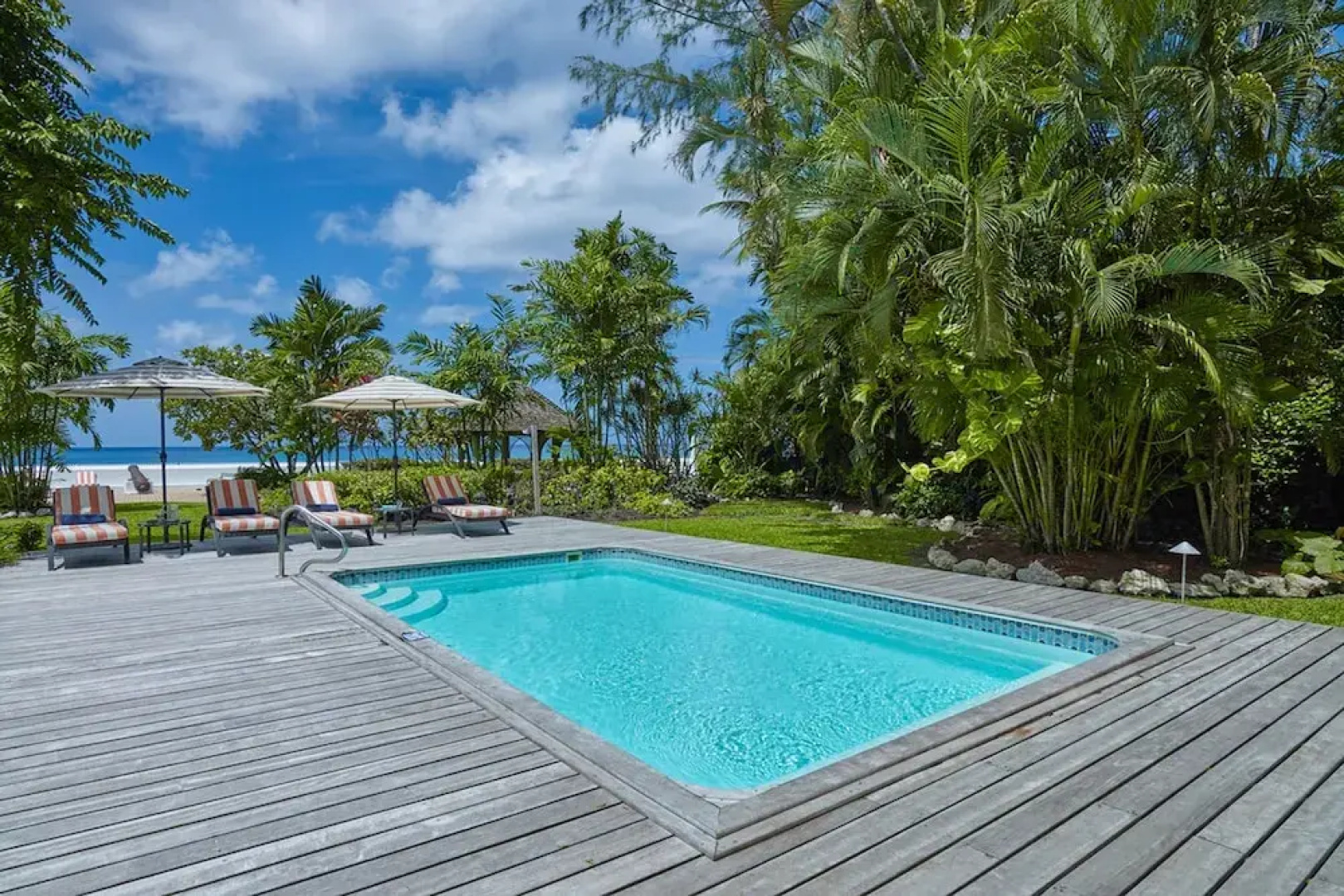 High Trees Blue Sky Luxury