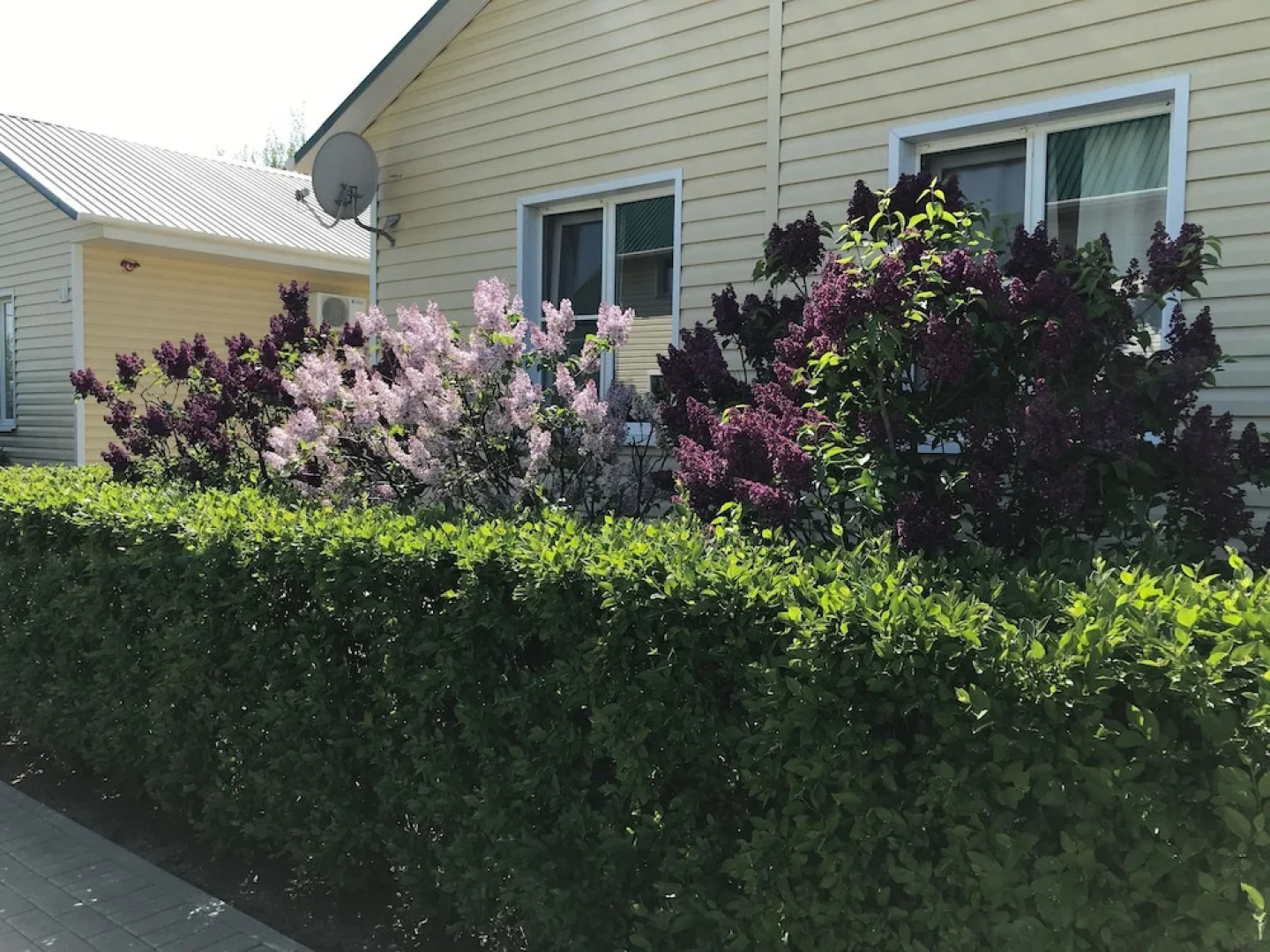 Верхнелебяжье Рыбный курорт