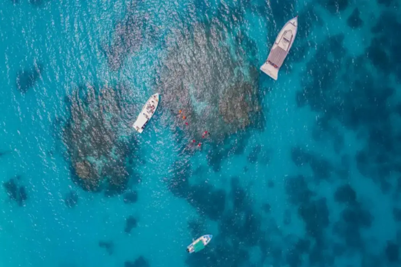 Coral Pearl, Lakshadweep - IHCL SeleQtions