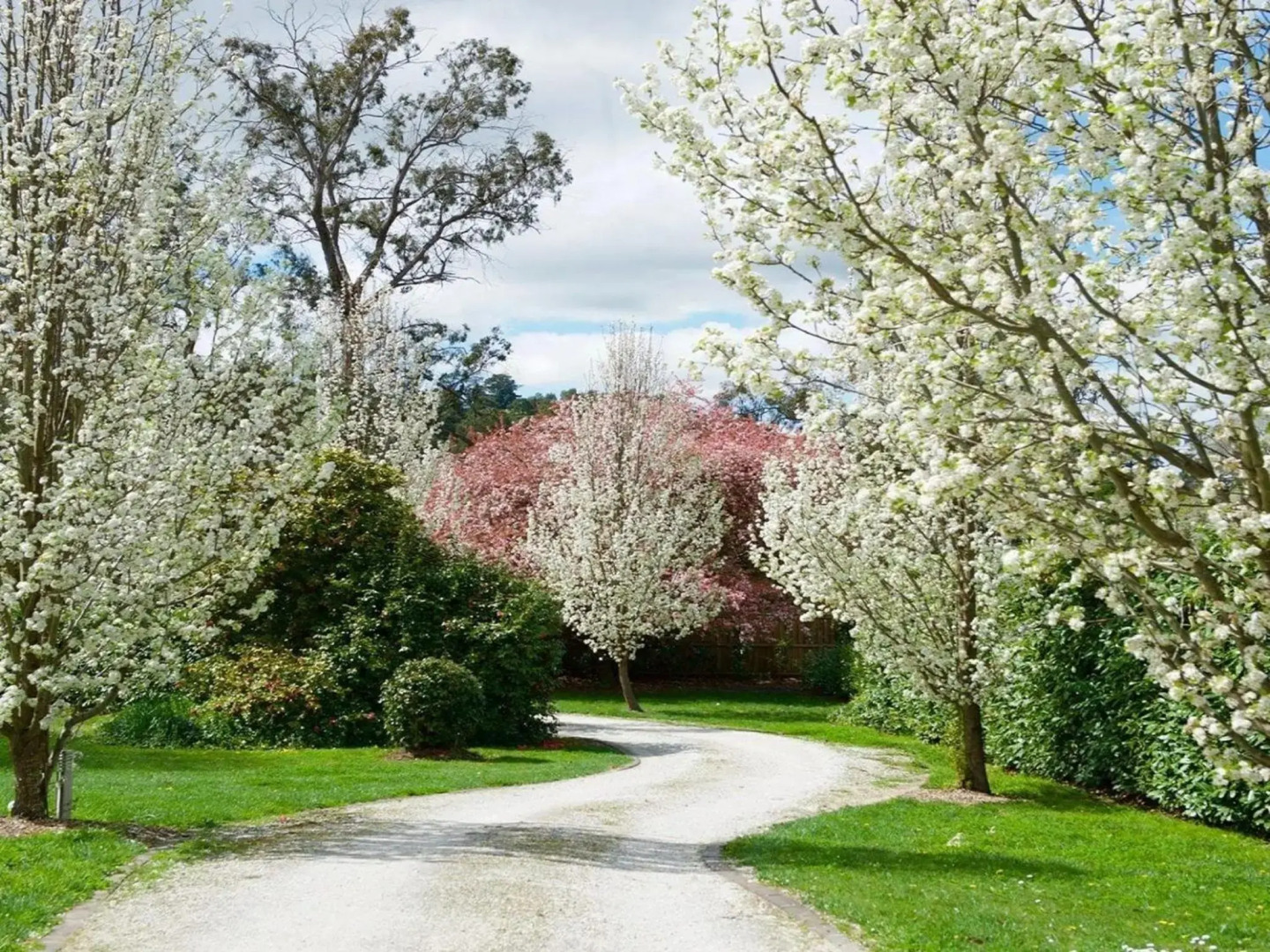 Robin Hill Manor - rambling retreat & tennis court