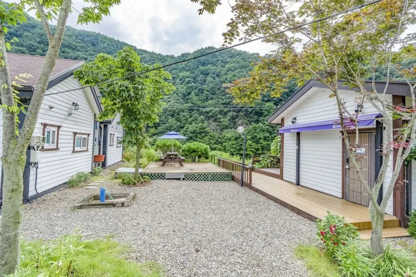 White Pension in Forest