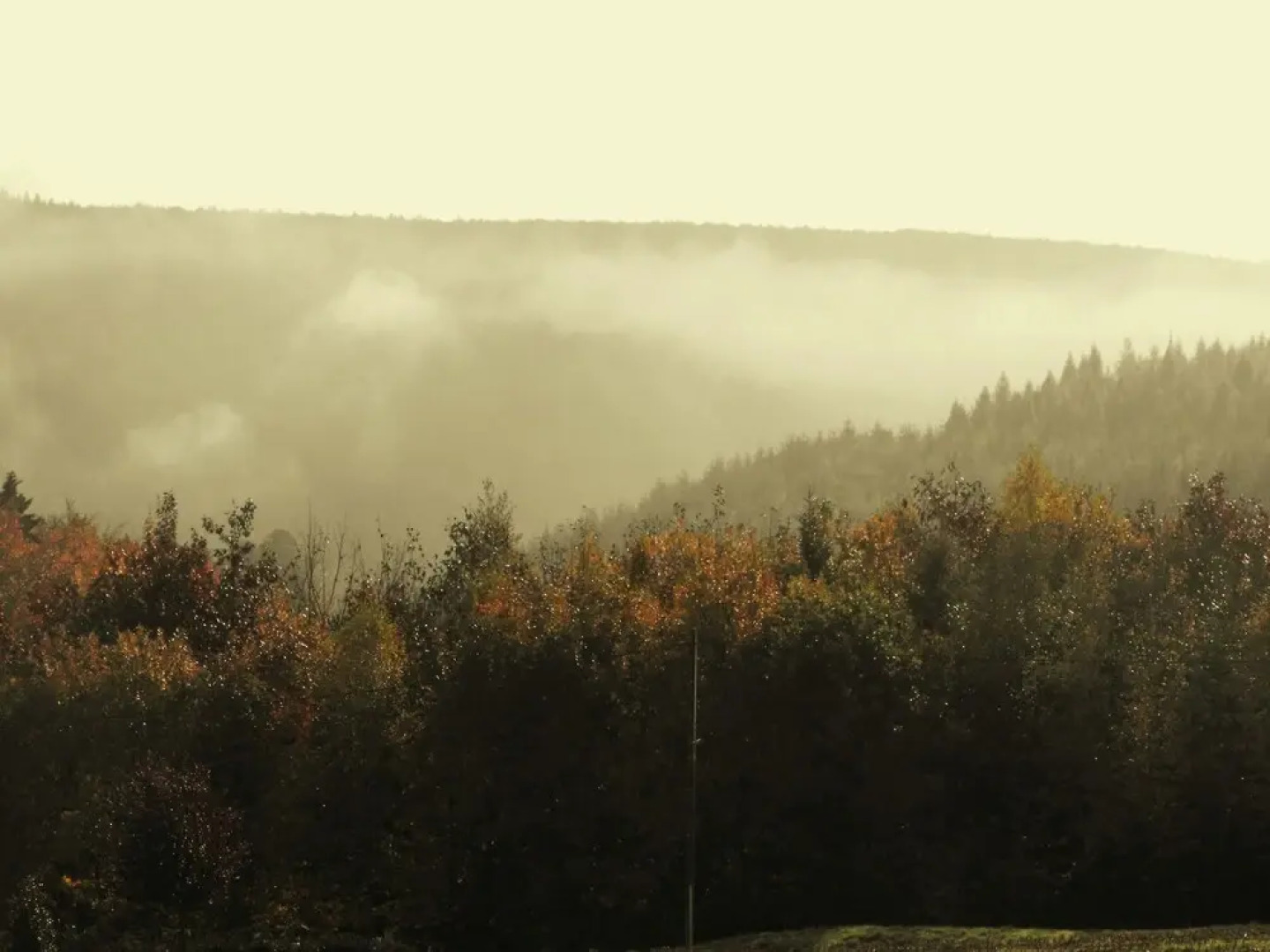 Completely Modernized Gite With Heated Swimming Pool