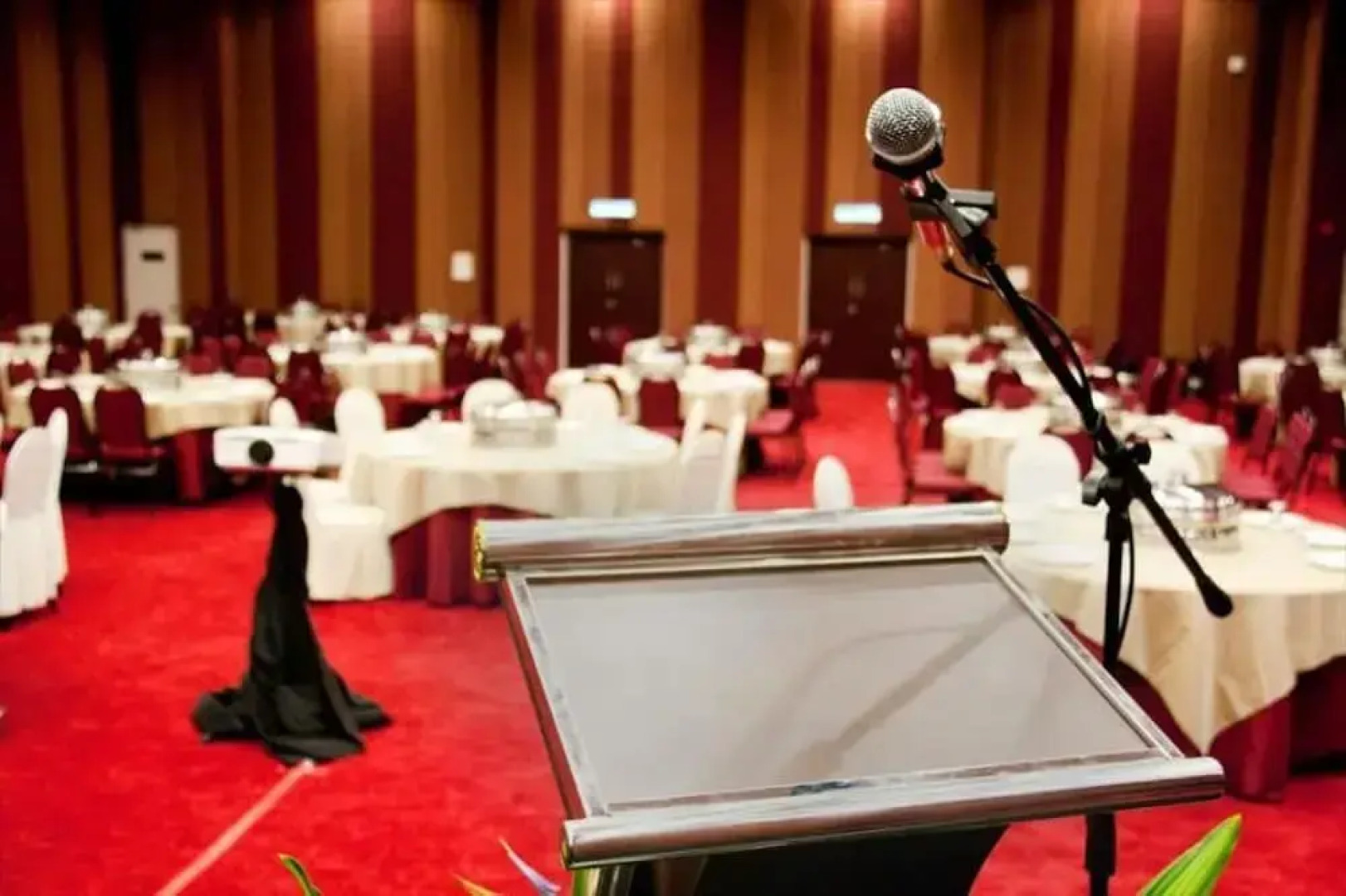 Hotel Scholar's Suites