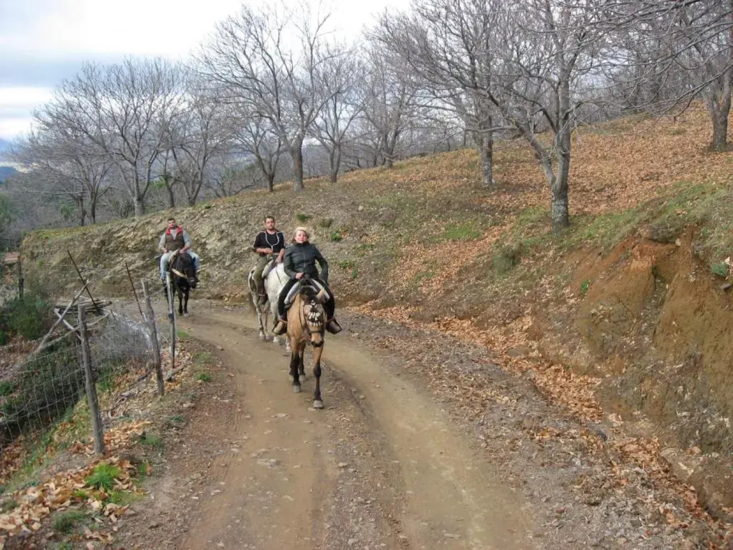 Apartamentos Rurales Jardines del Visir