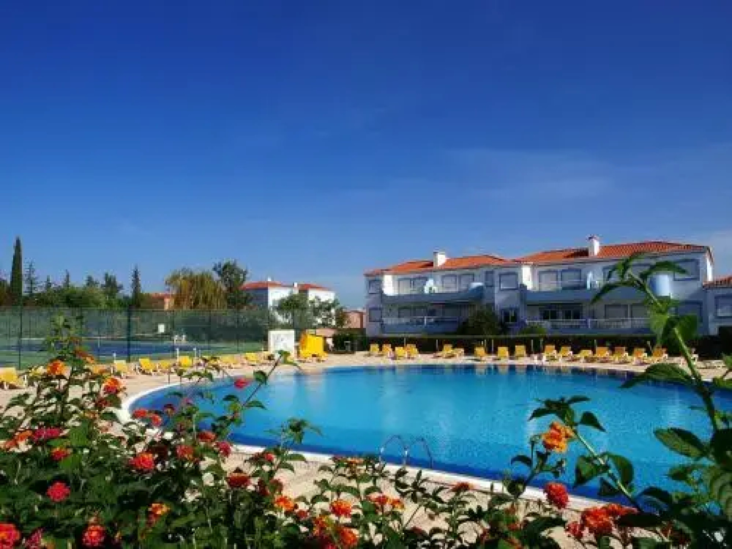 Apartment Palmeiras