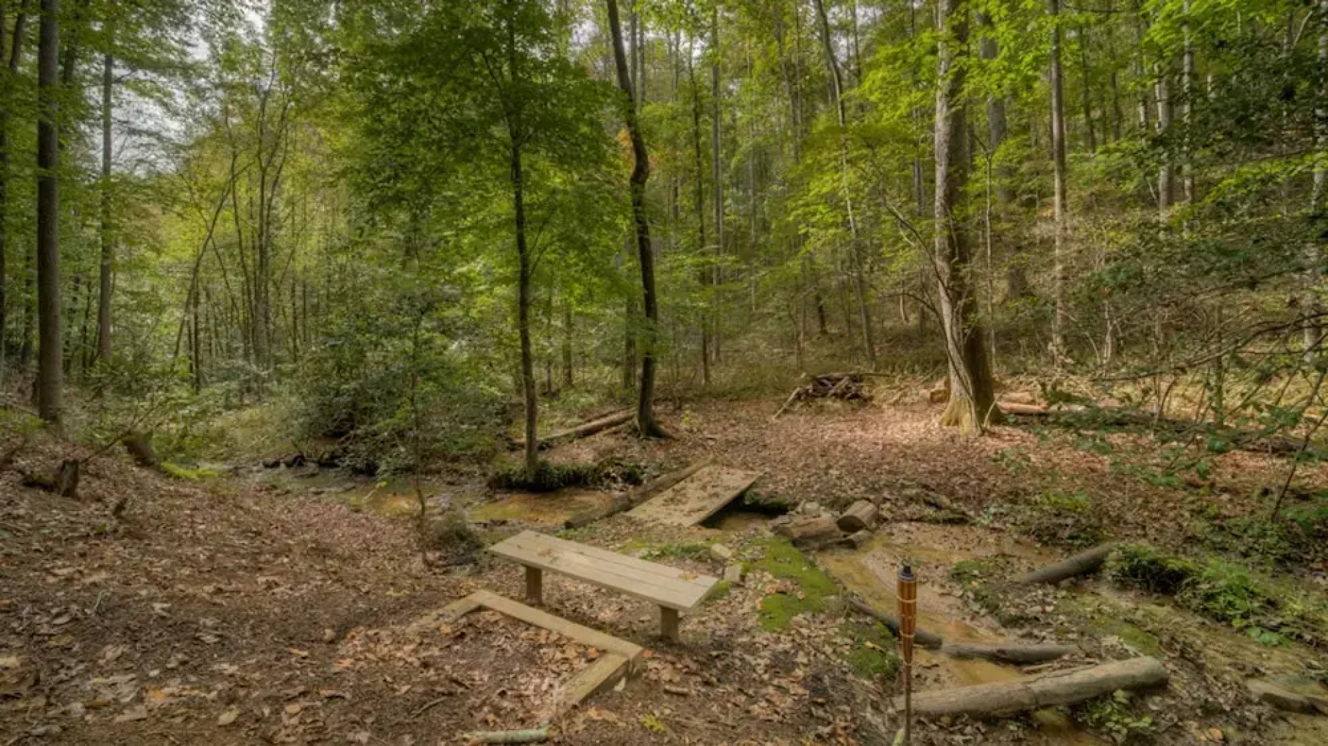 Rusty Rooster by Escape to Blue Ridge