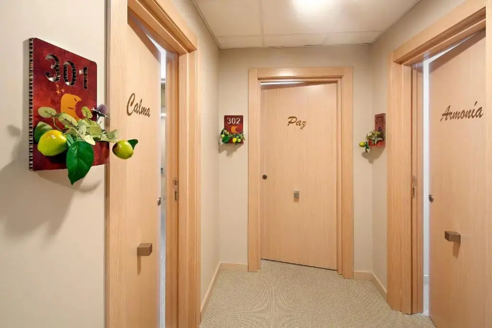 Hotel Boutique Mediodía & Apartments