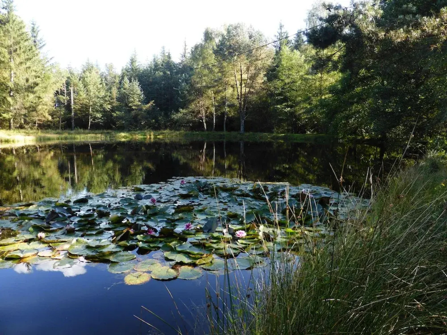 Auberge de la Cholotte