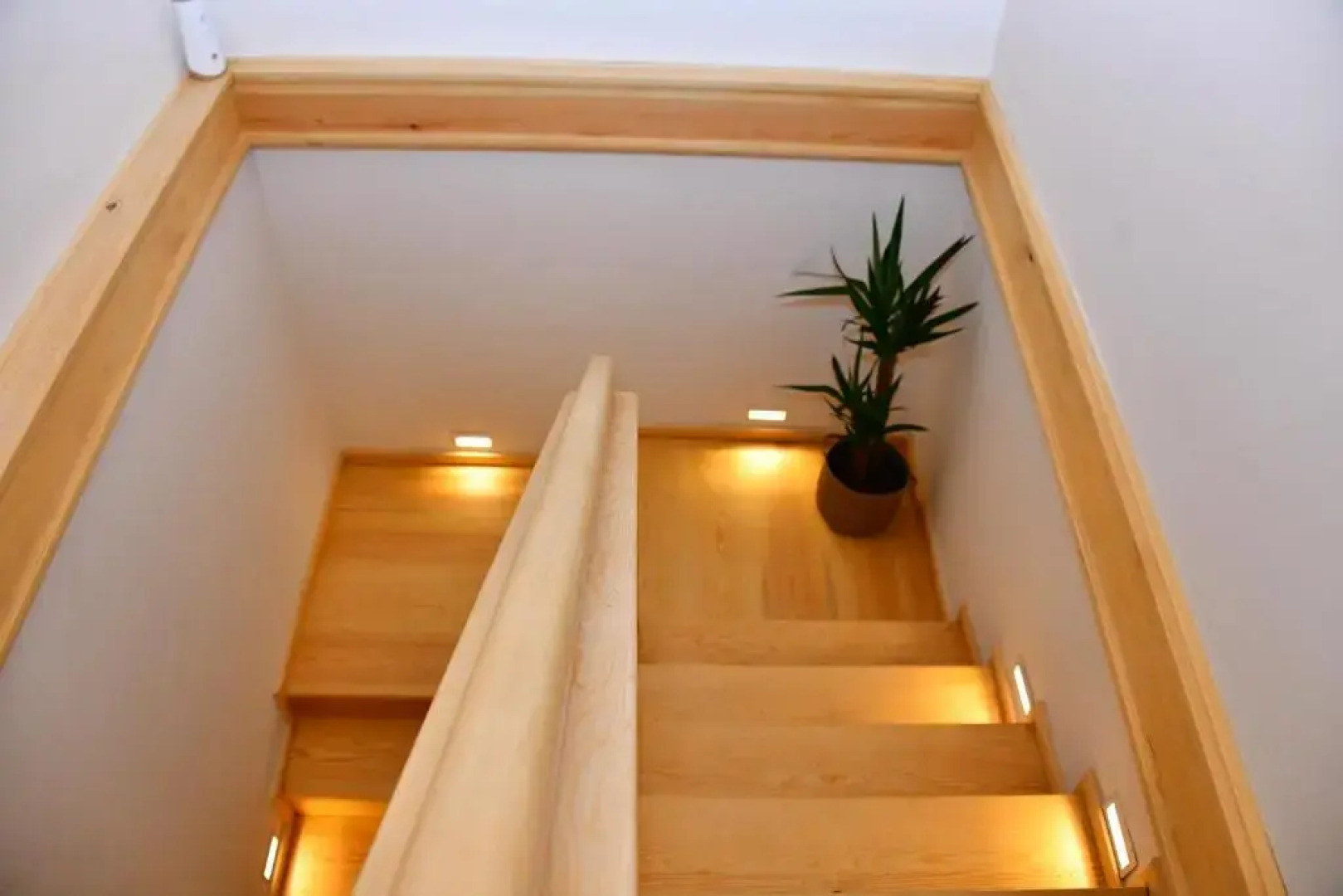 Tarihi Sakiz Hanim Konagi - Eski Foca