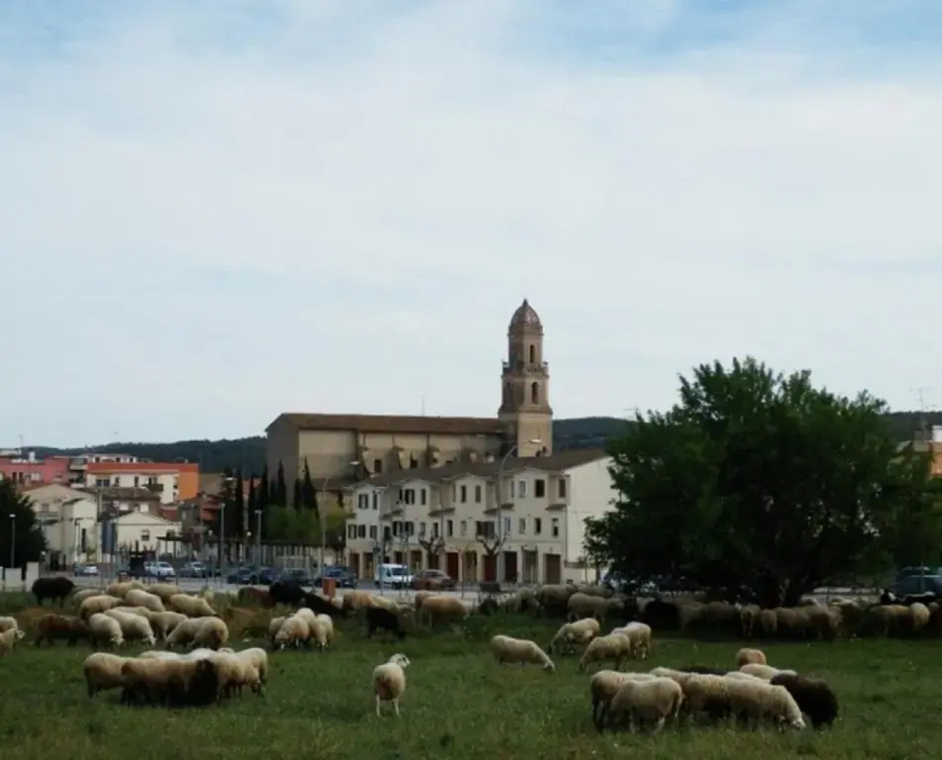 Apartament Torrellenc
