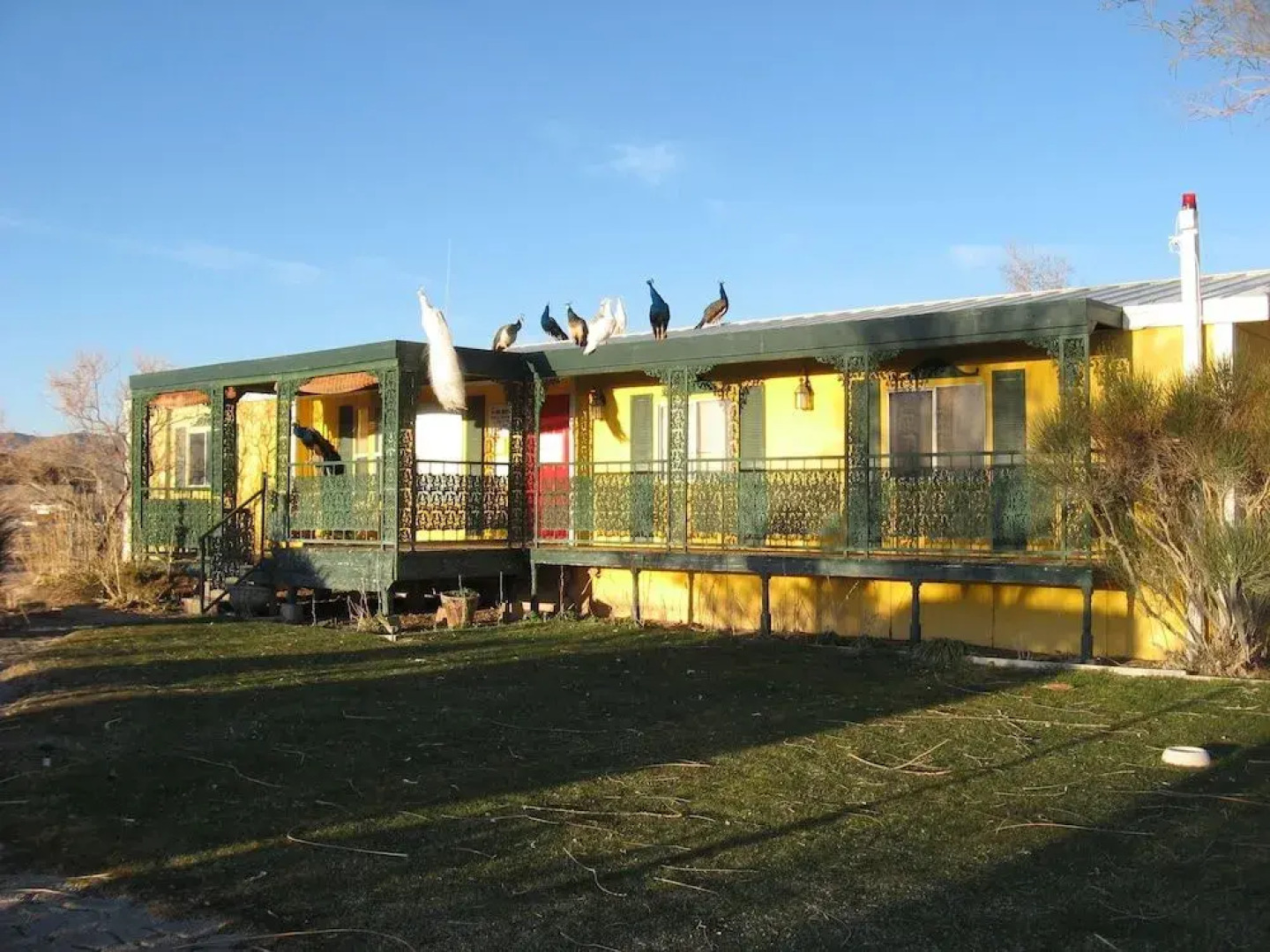 Shady Lady Bed & Breakfast