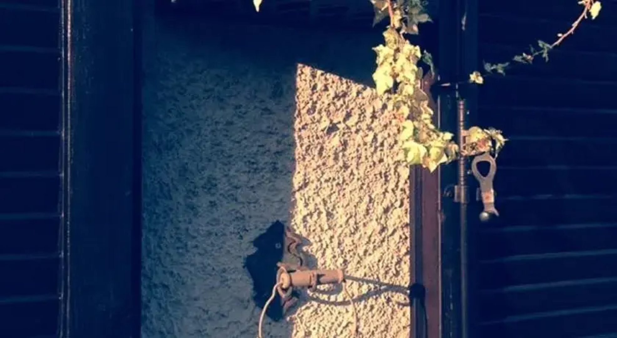 B&B LErbavoglio