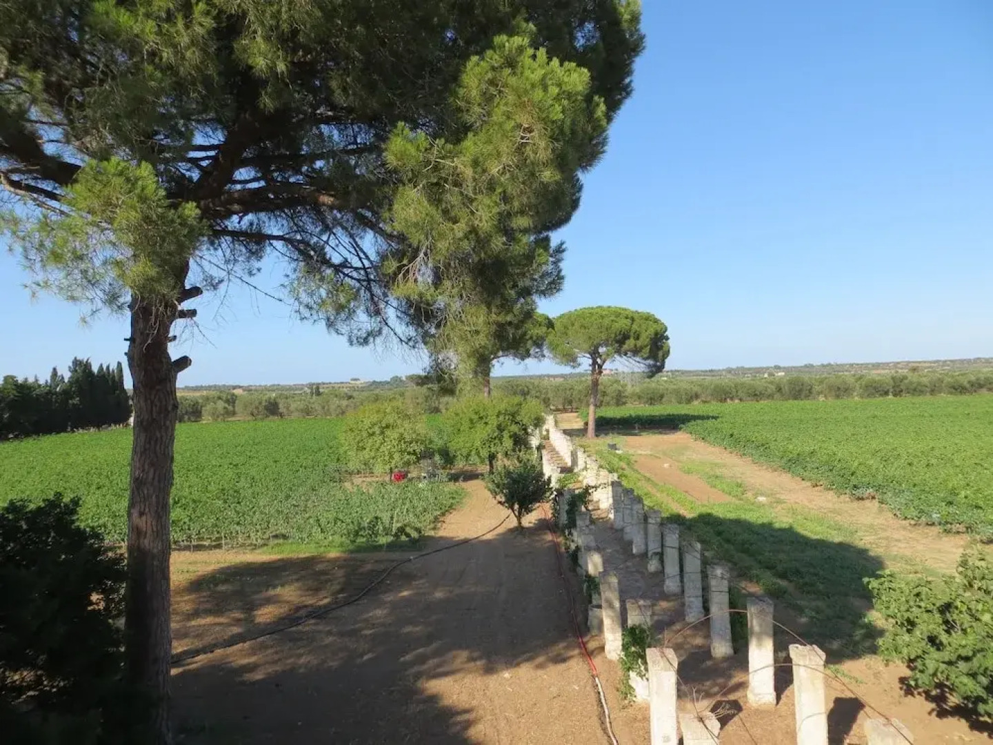Agriturismo Occhineri