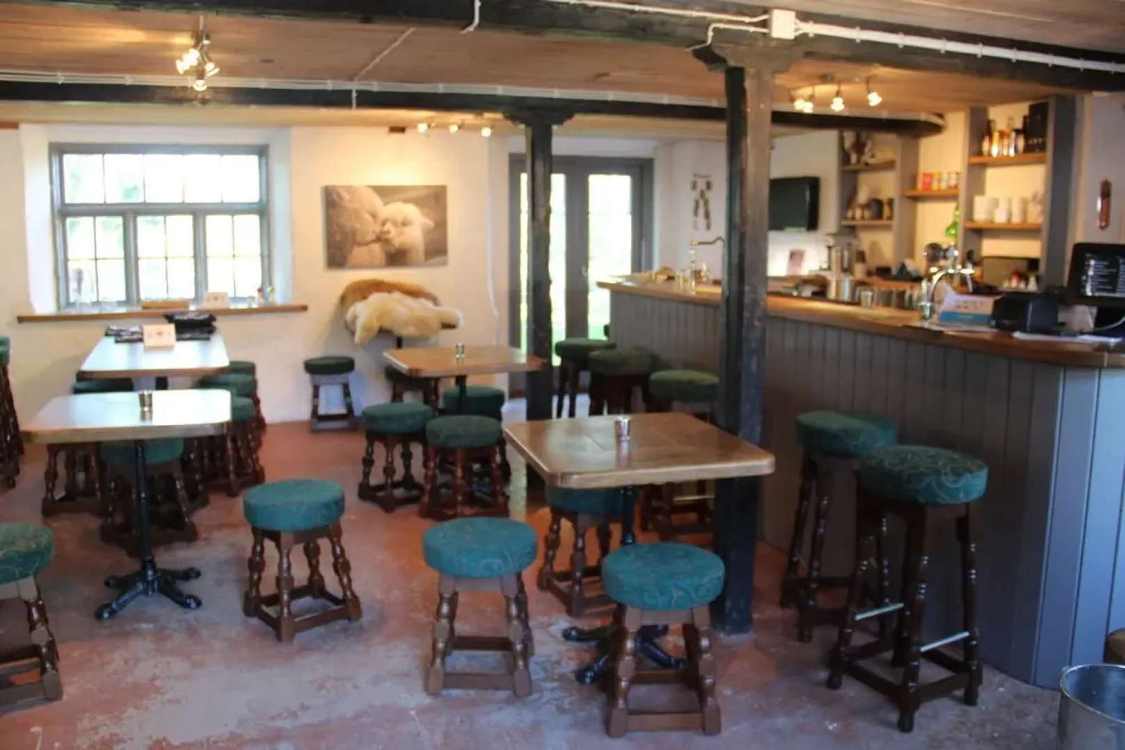 Norrängens Alpacka - Bed & Breakfast