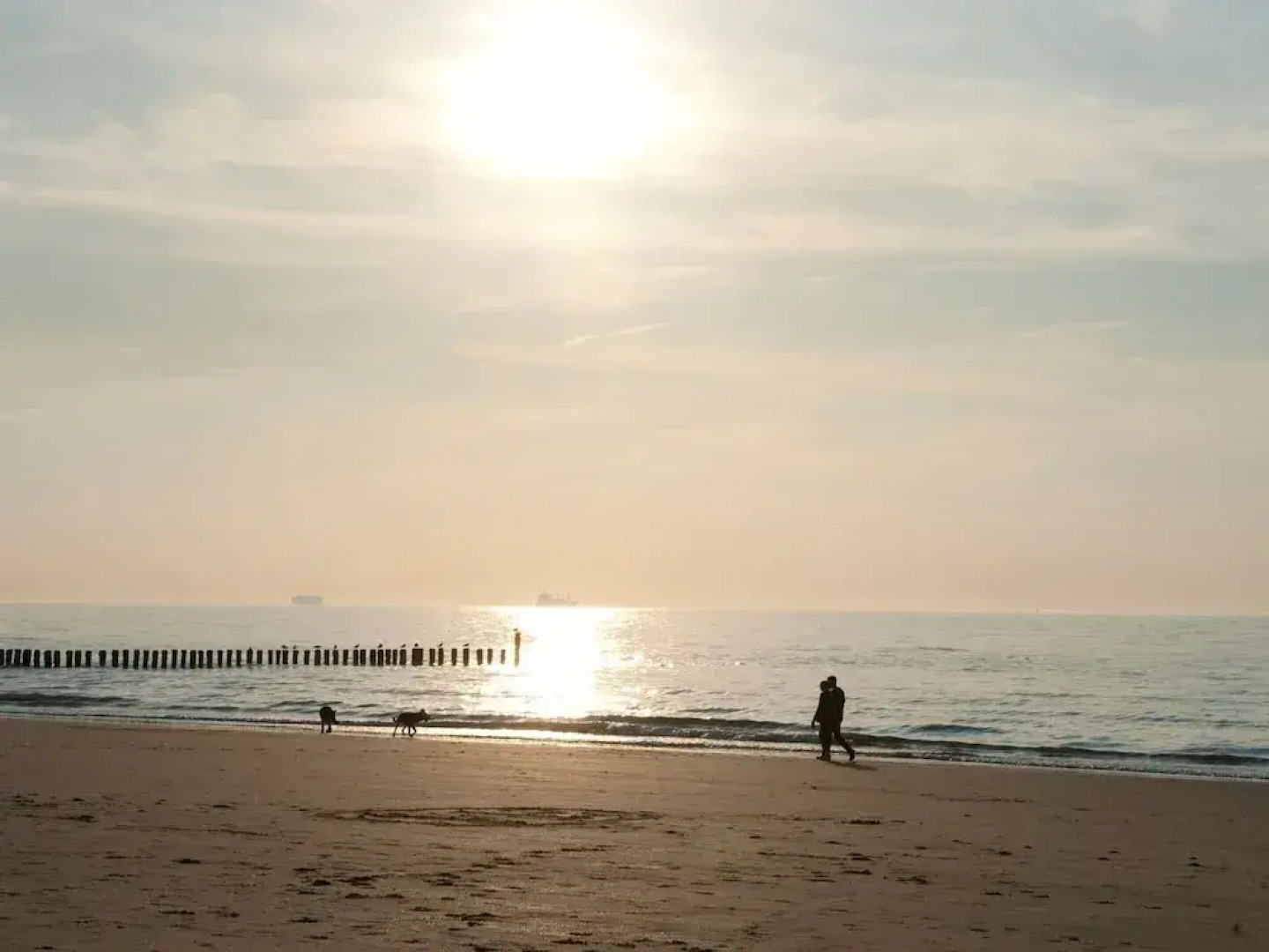 Villa in Cadzand-bad Near North Sea Coast