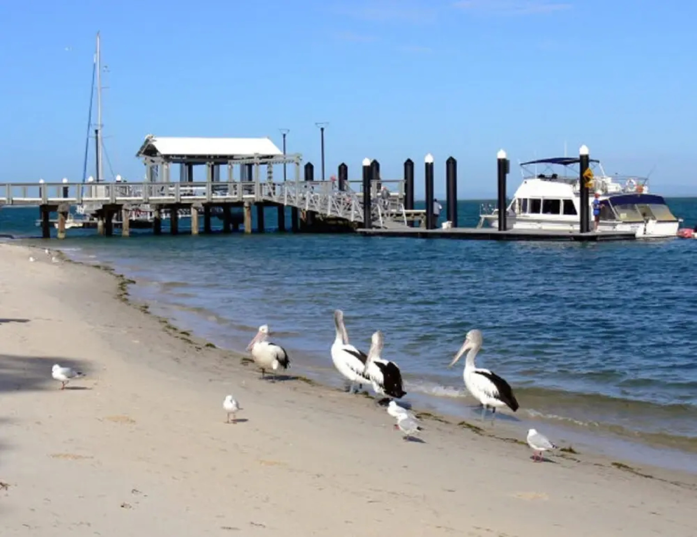 Quiet location across from waterfront - South Esp, Bongaree