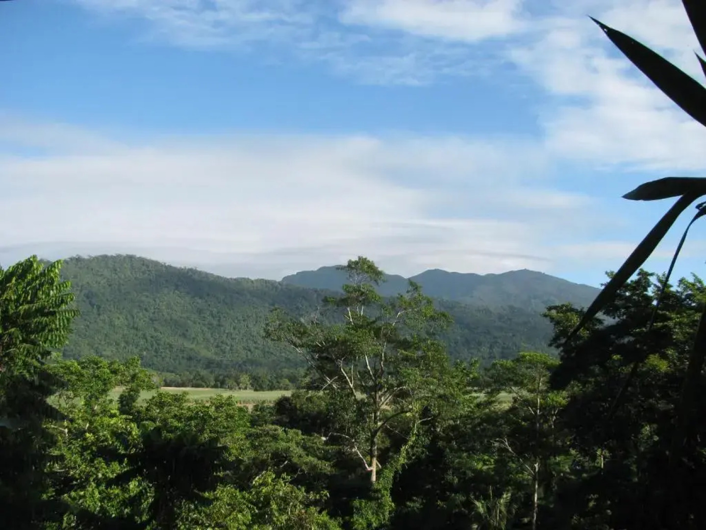 Mossman Gorge Bed and Breakfast