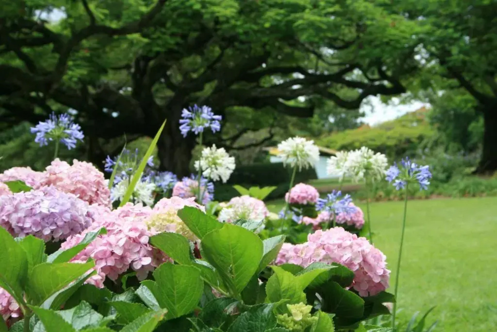 Torburnlea Homestead Luxury Accommodation