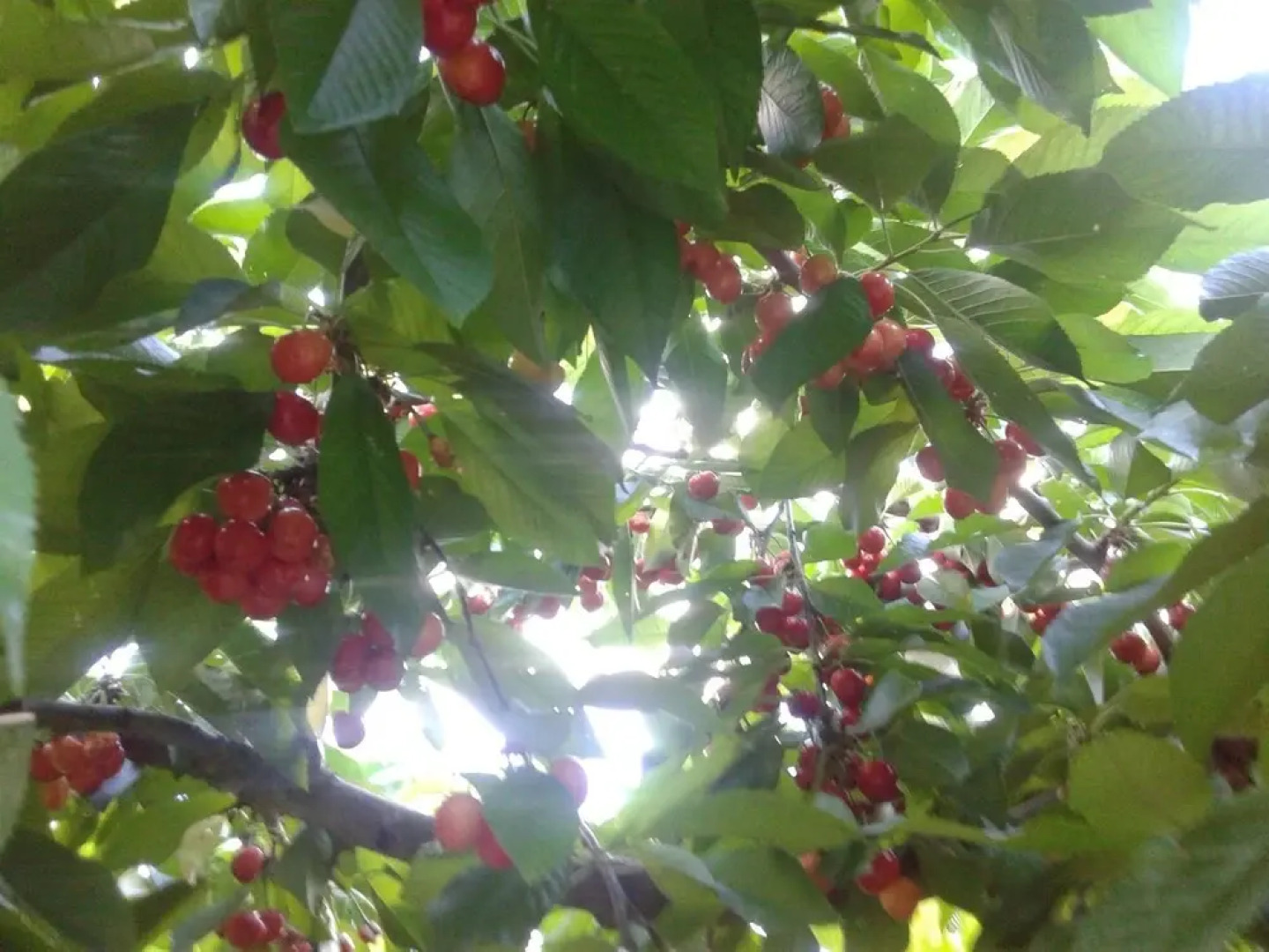 House With 3 Bedrooms in Yeste, With Wonderful Mountain View, Furnishe