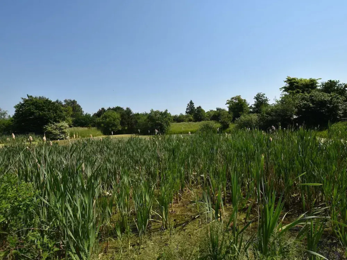 Rustic-style Apartment in Buschenhagen With Garden