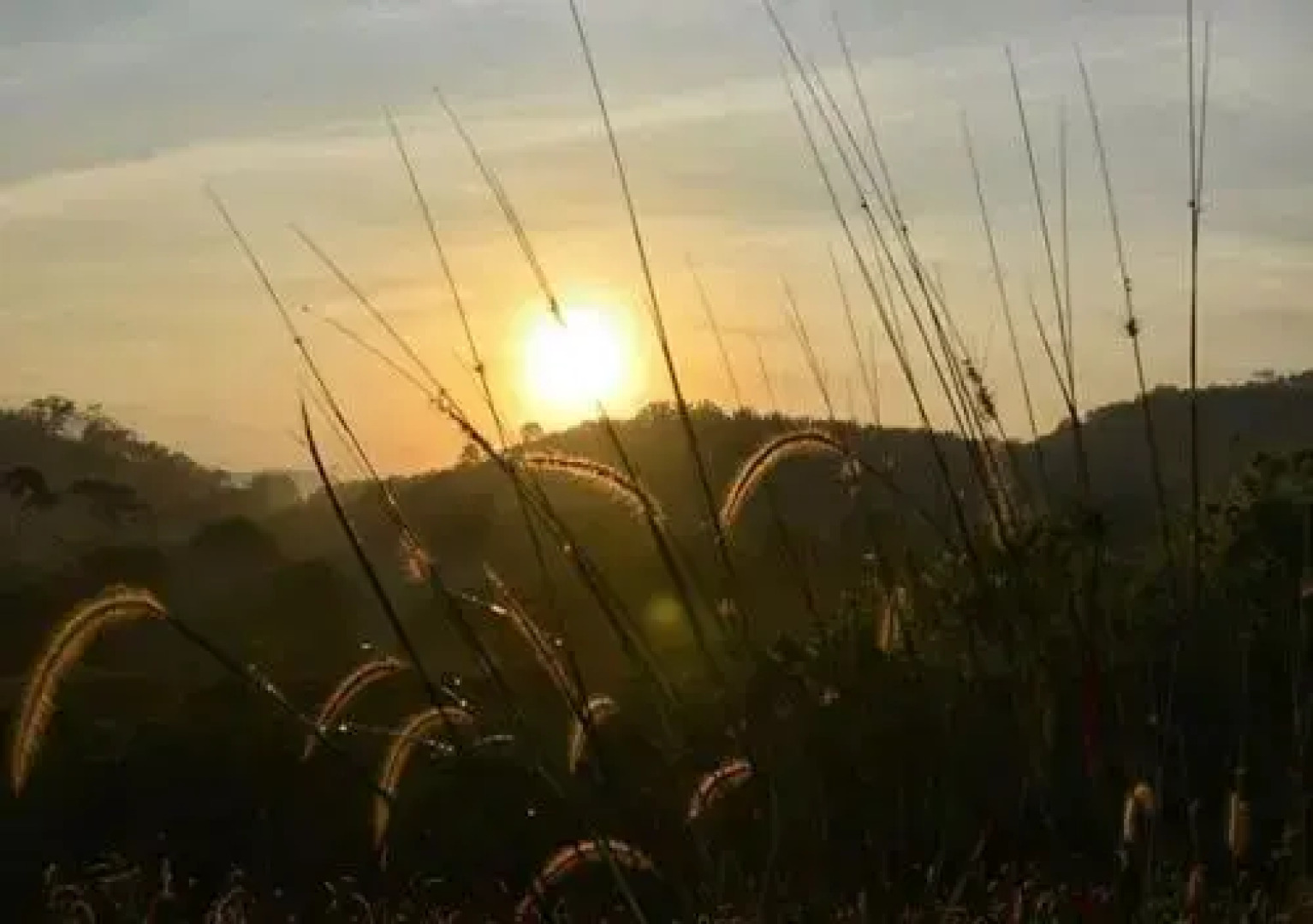 Orchard Wellness Safari Suites