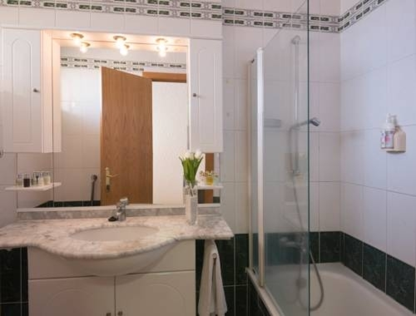 Elegance Palmeras Playa