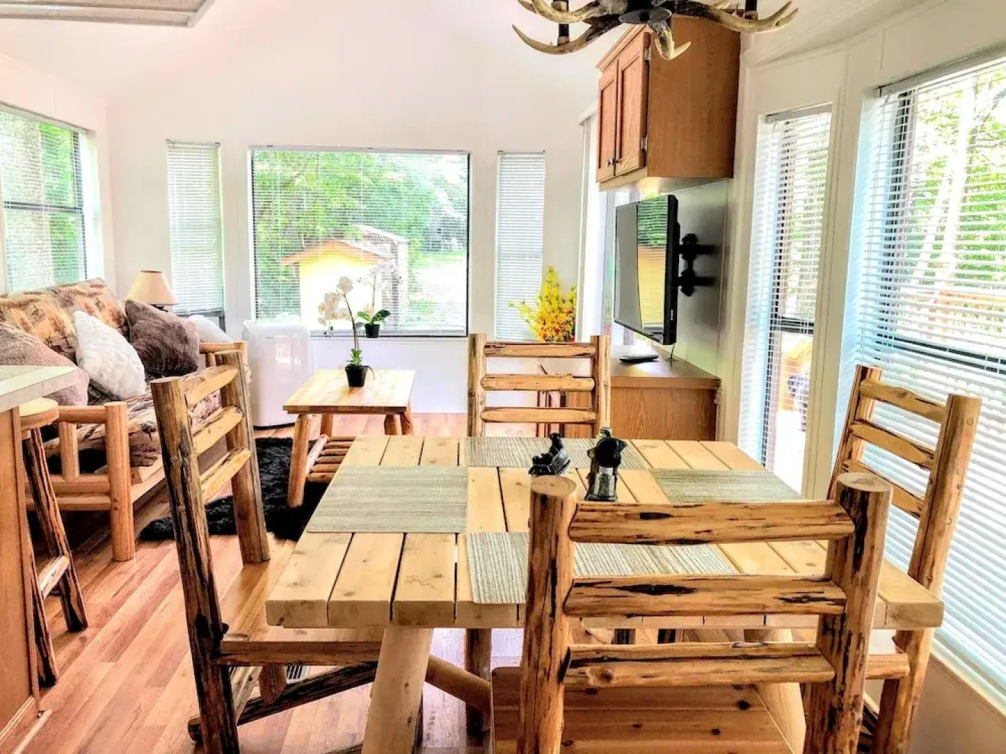 Mountain Cabin 580