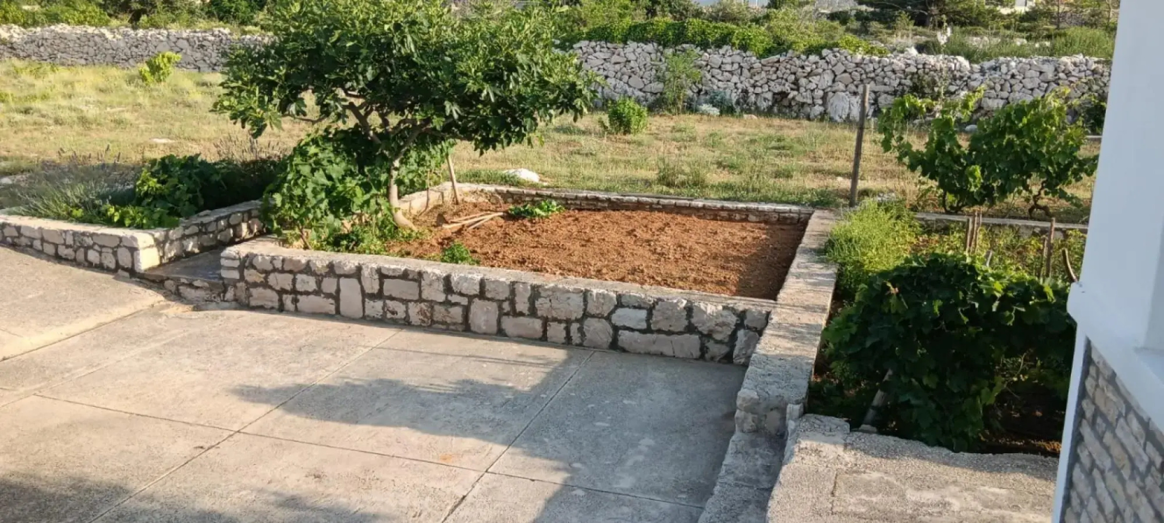 Mario - With Garden - A1