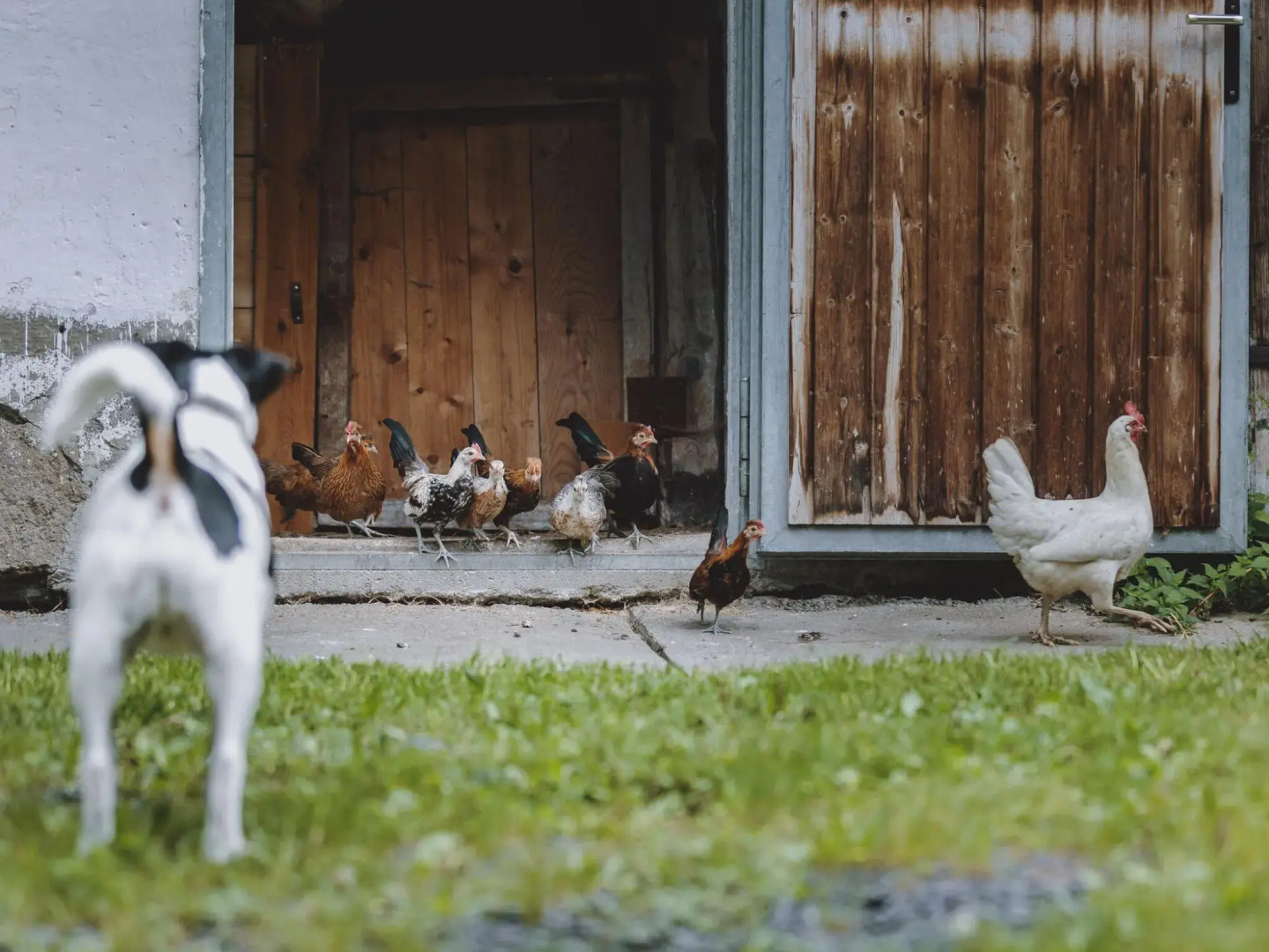 Holiday Home on Grossglockner Alpine Road