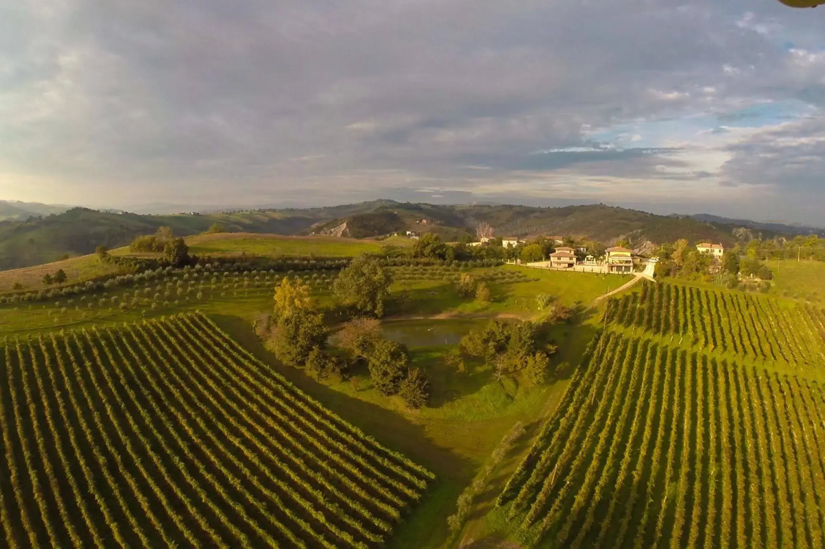 Agriturismo Acetaia Sereni