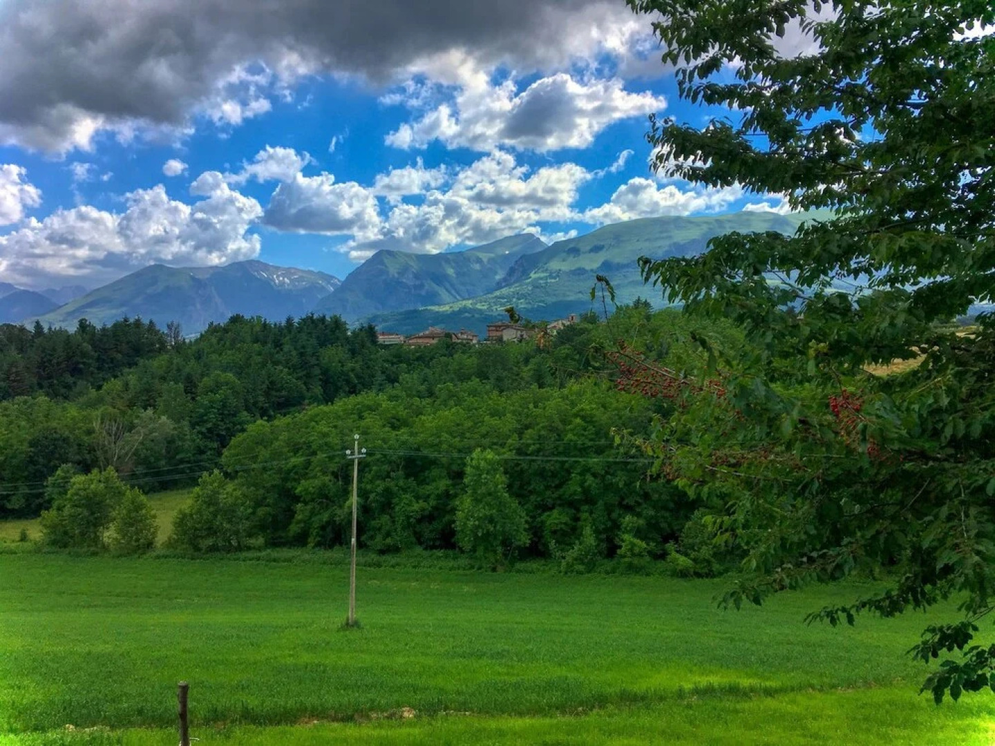 Villa in le Marche with private swimming pool