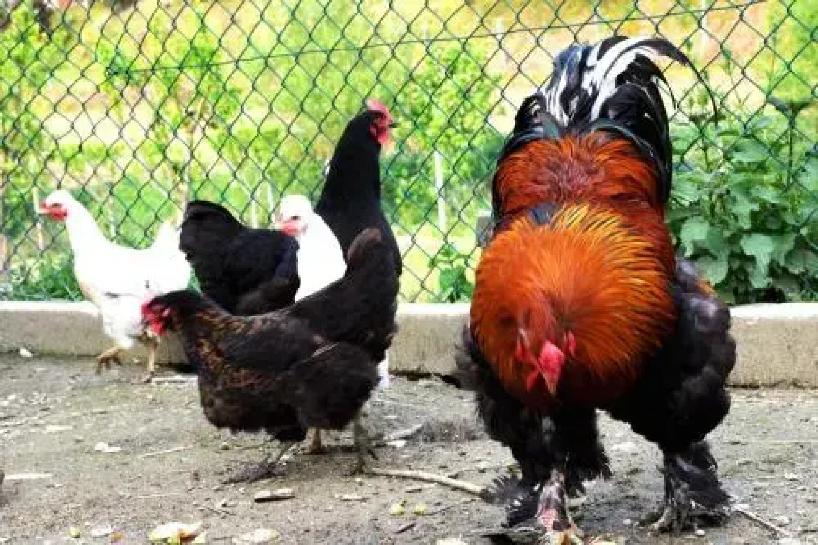 Quinta das Ameixas - Country & Nature