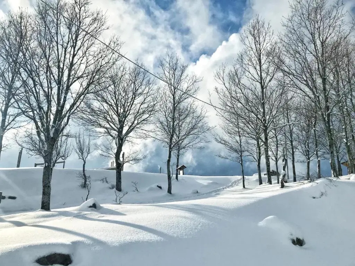 Rifugio Radura del Grano