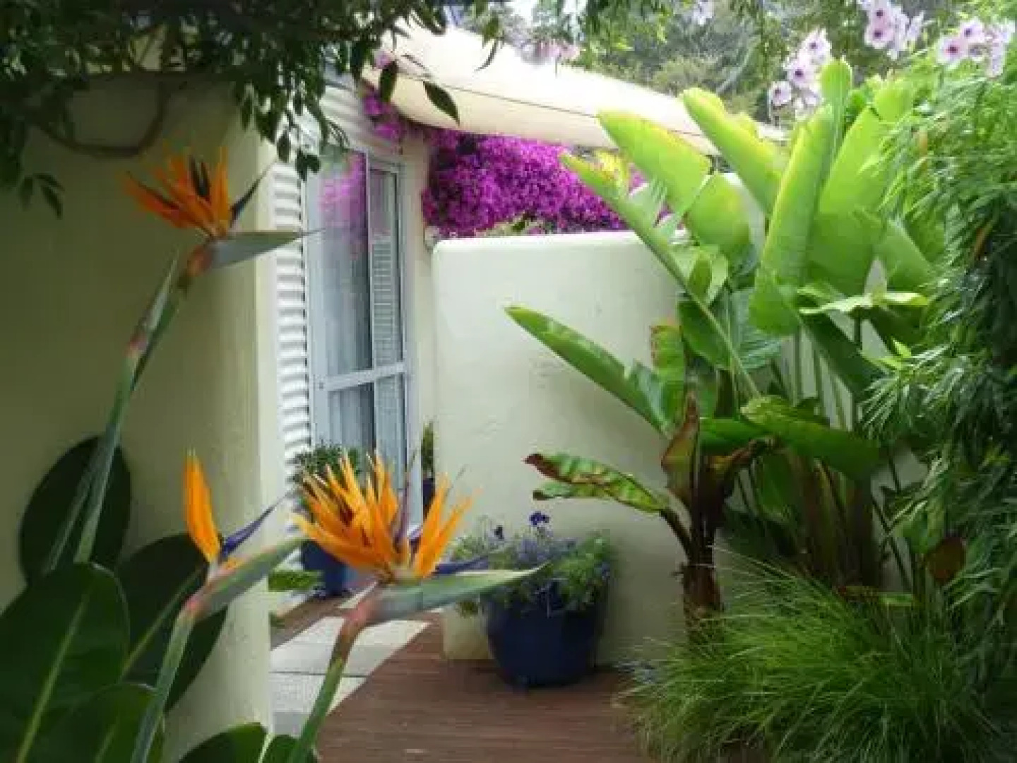 Wall Street Accommodation