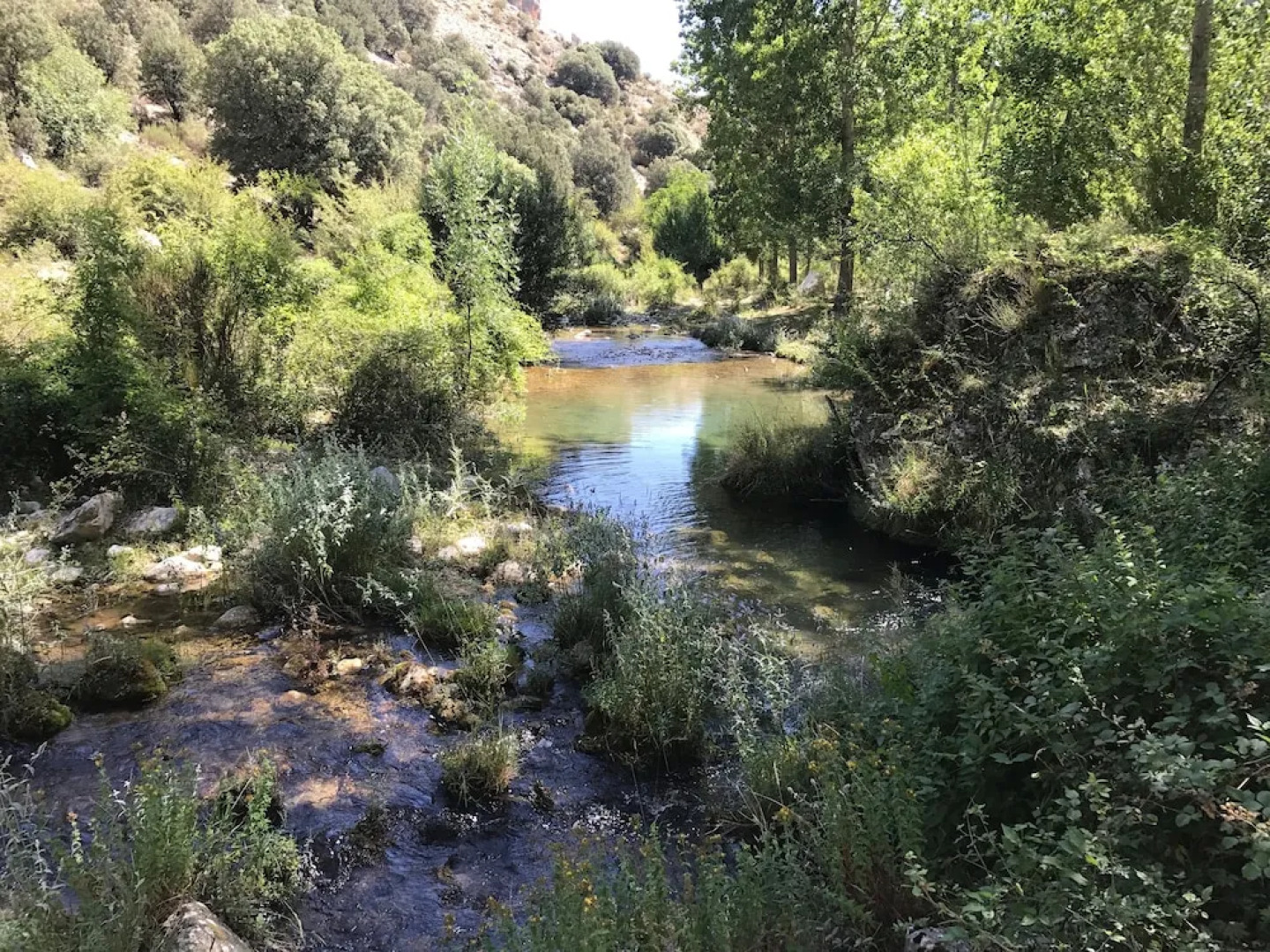 El Pinar de la Lobera