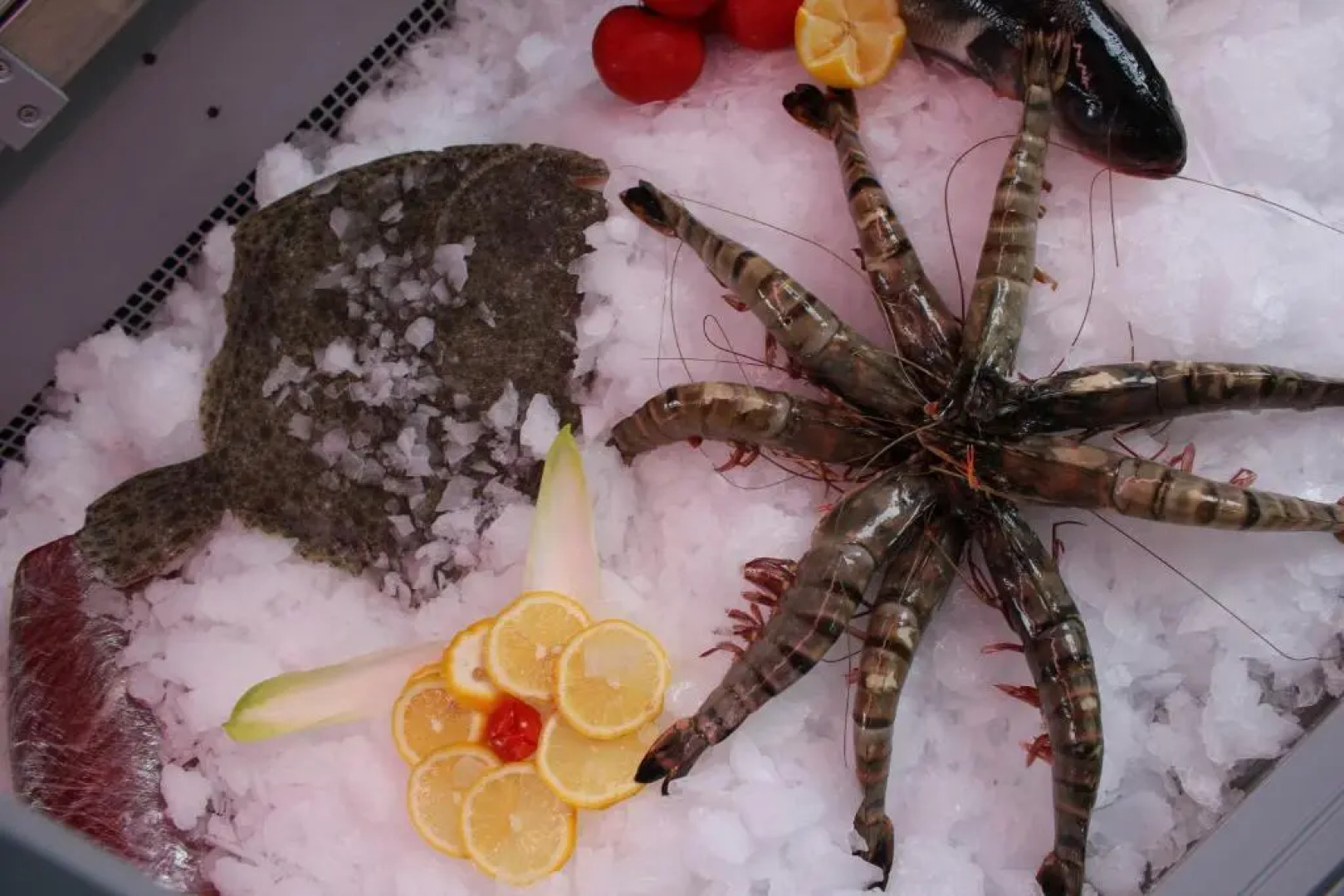 Hotel Central Da Mario