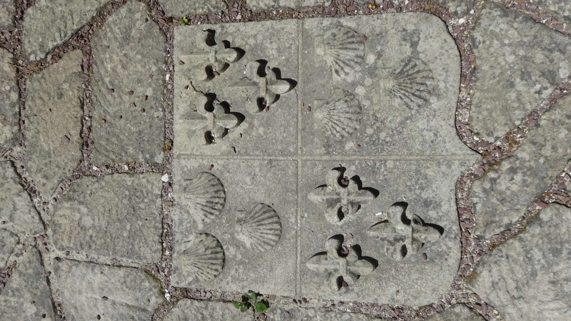 Best Western Hotel Montgomery