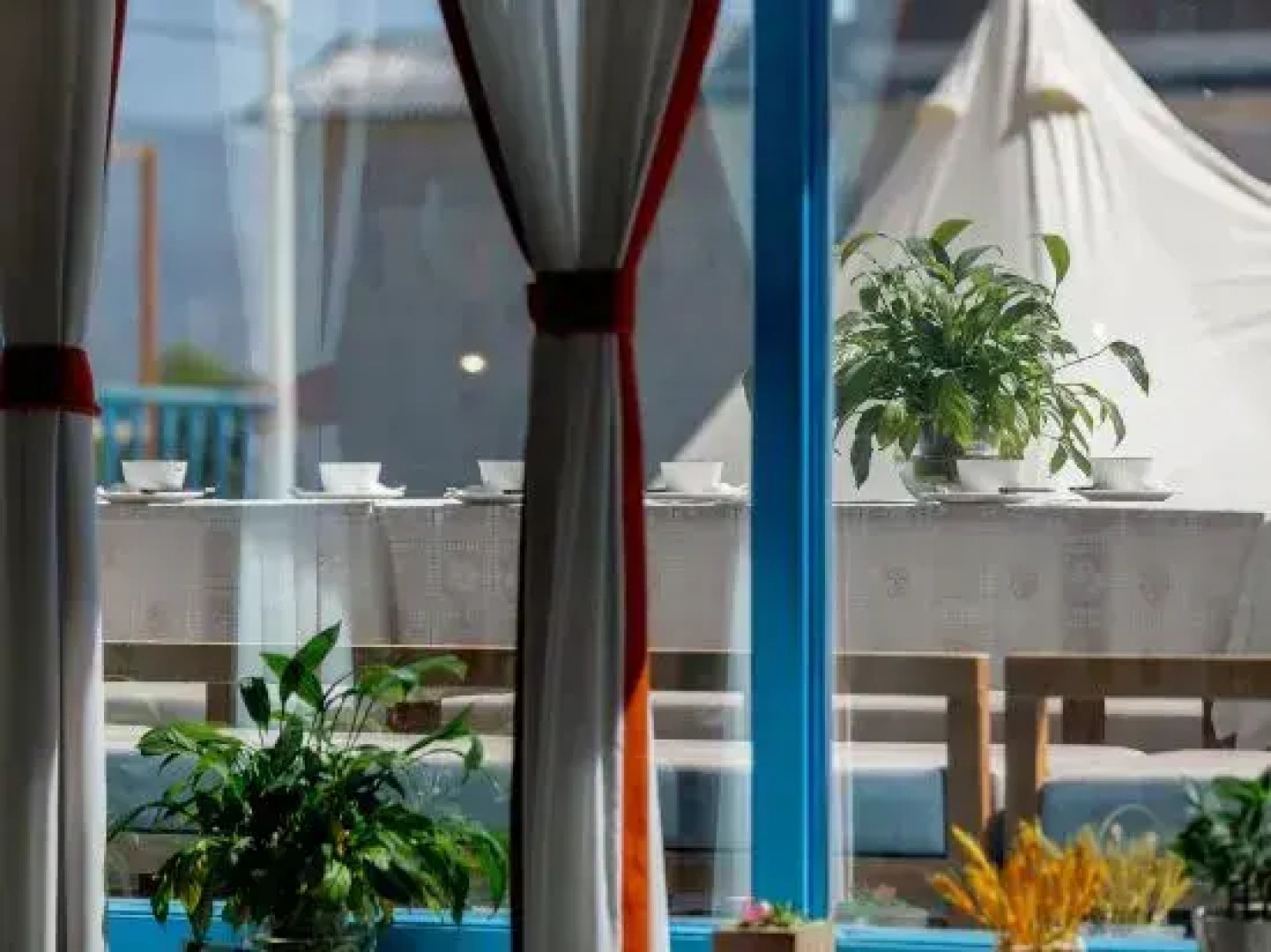 The long song and the house in tex dream