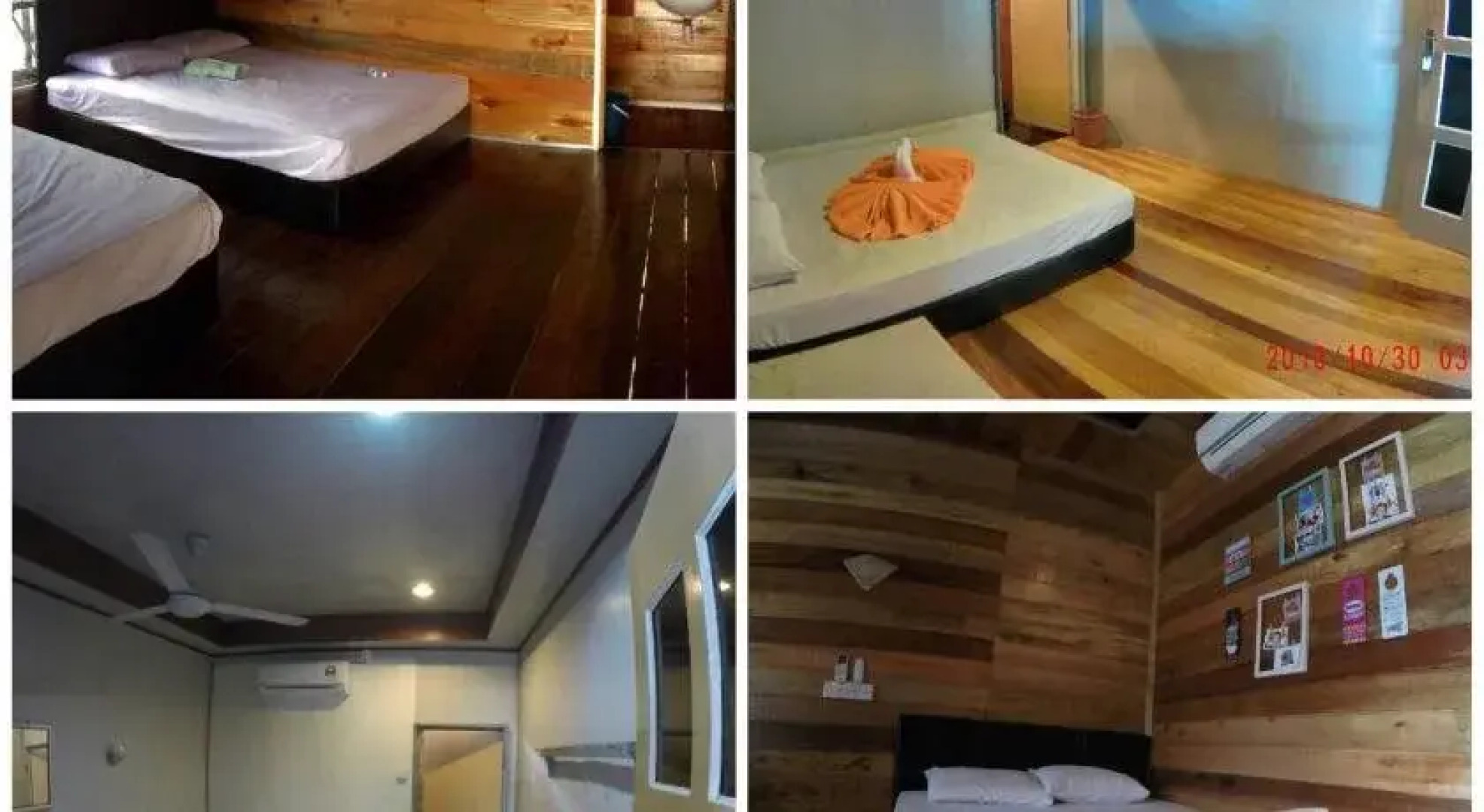 Seahorse Sipadan Scuba