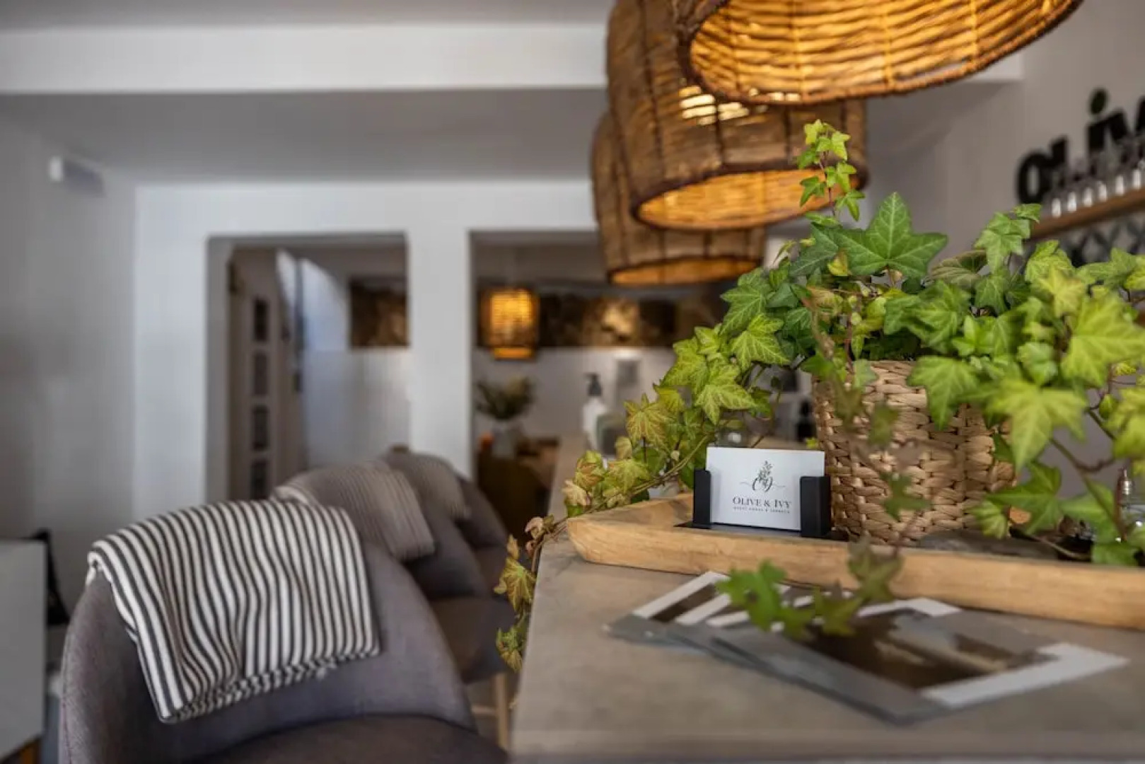 Olive & Ivy Guest House