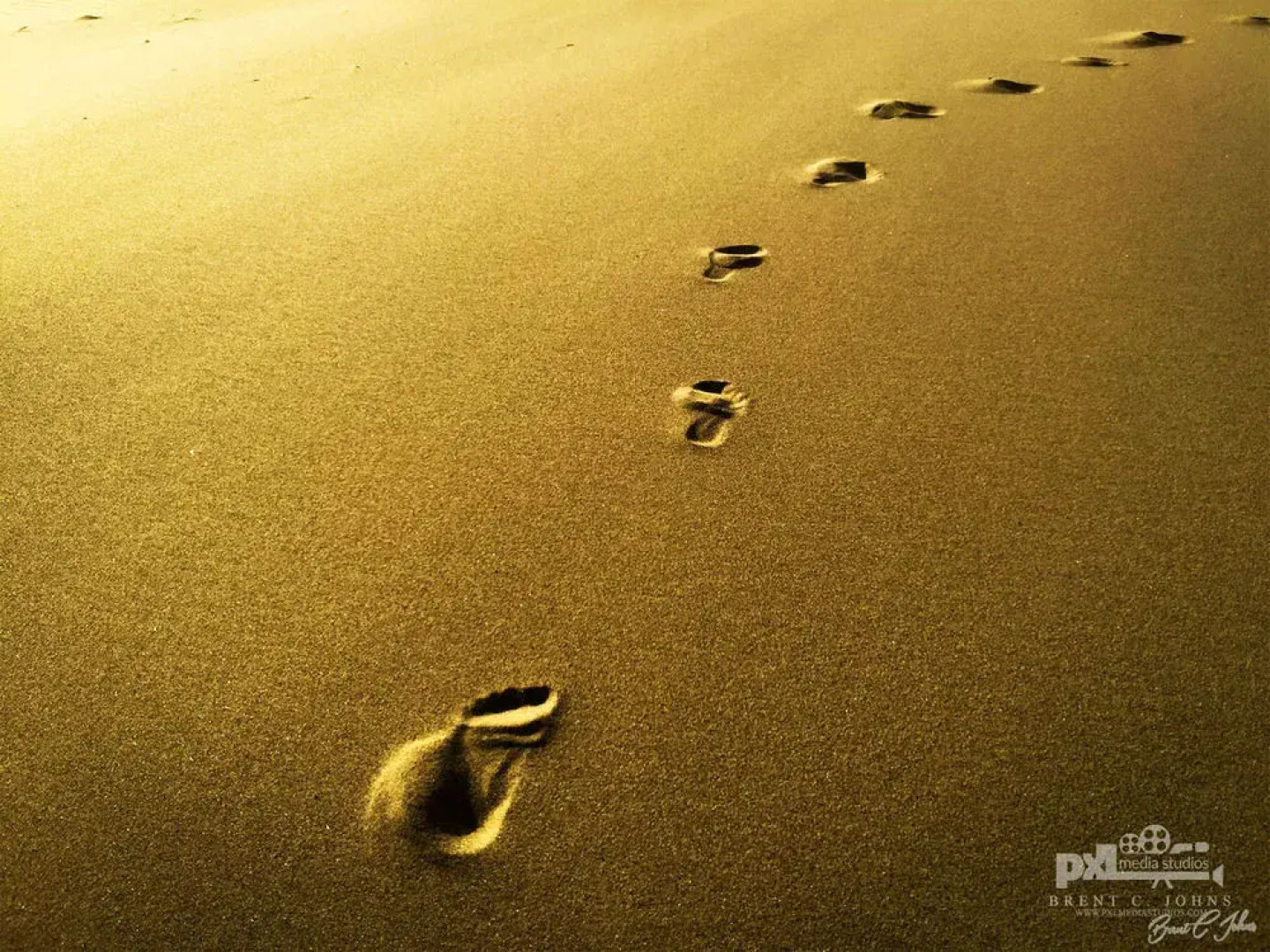 Beachcomber Cottages