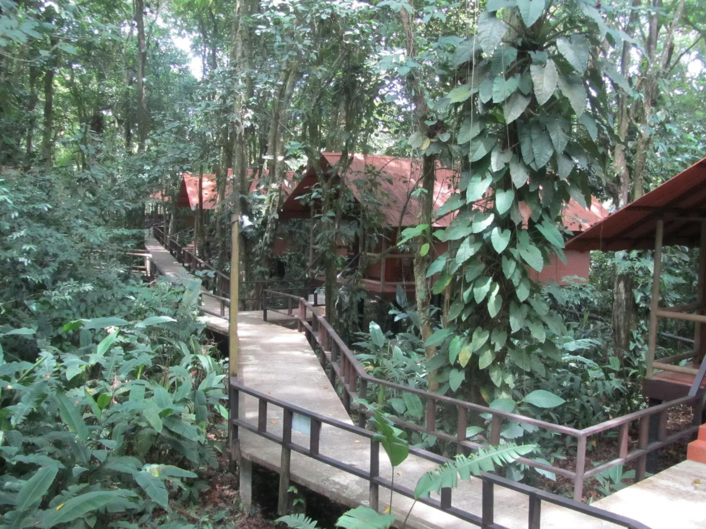 Foresta Lodge