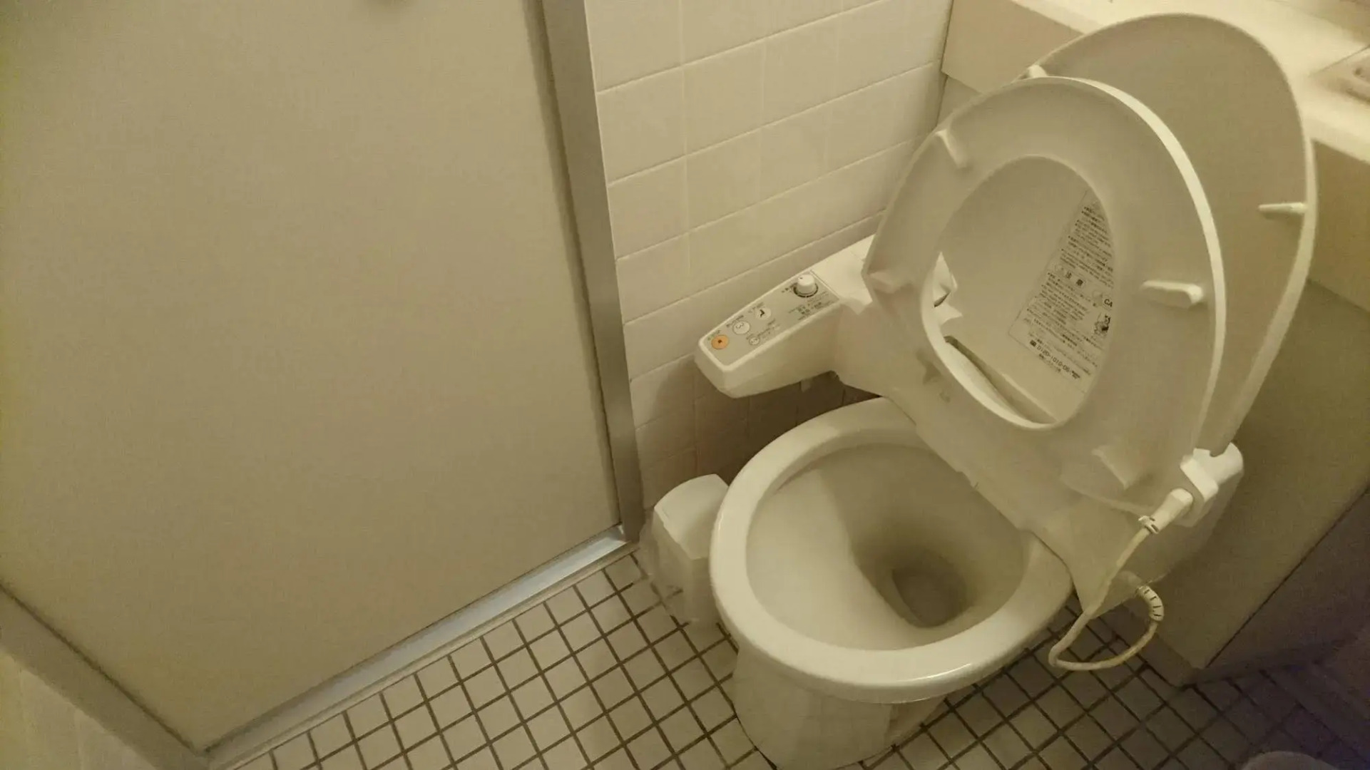 Kusatsu Hotel 1913 Bettei Pedalo