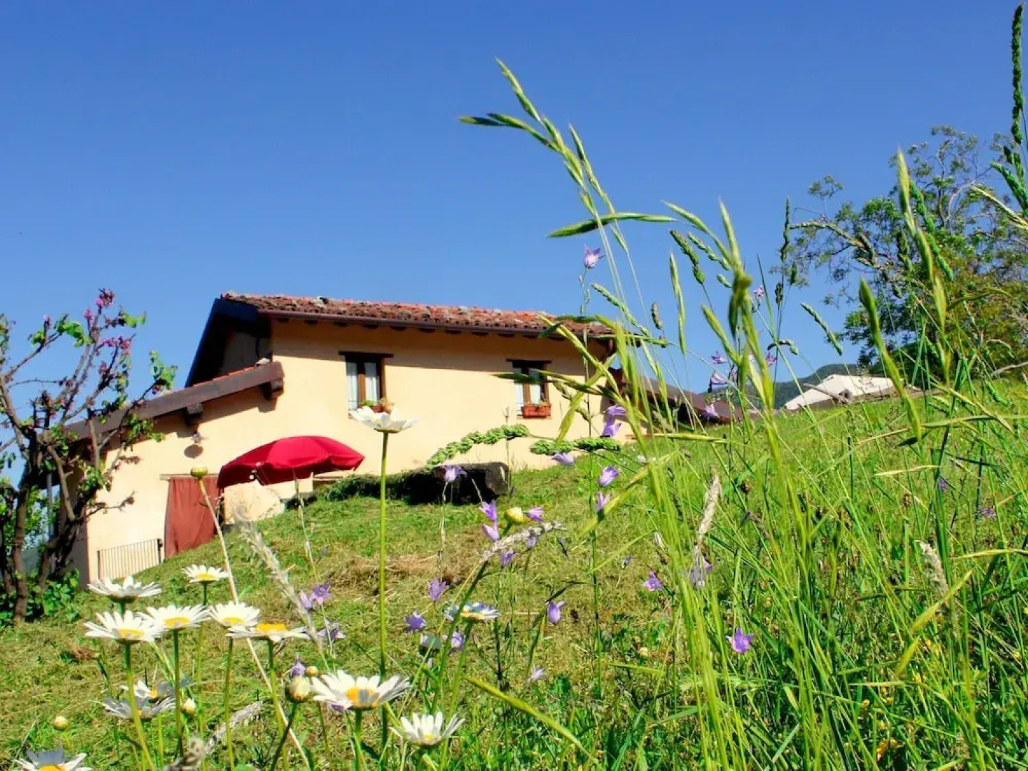 Belvilla by OYO Boccabugia del Colle