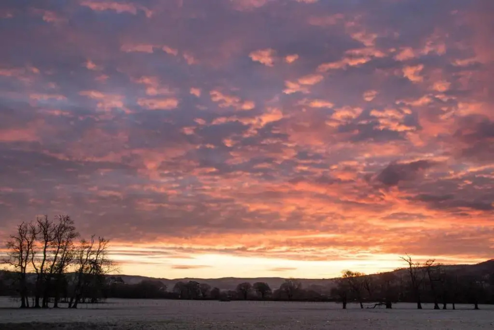 Plas Dolau Country Estate