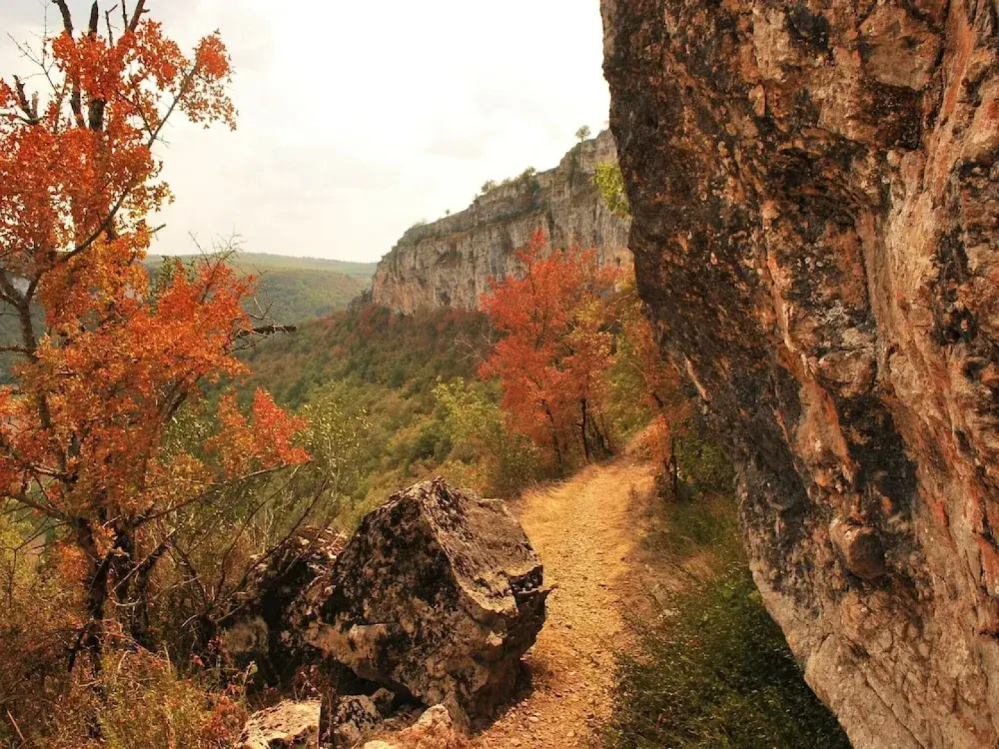 Stylish Renovated Villagehouse With Private Swimming Pool Garden and Lovely View