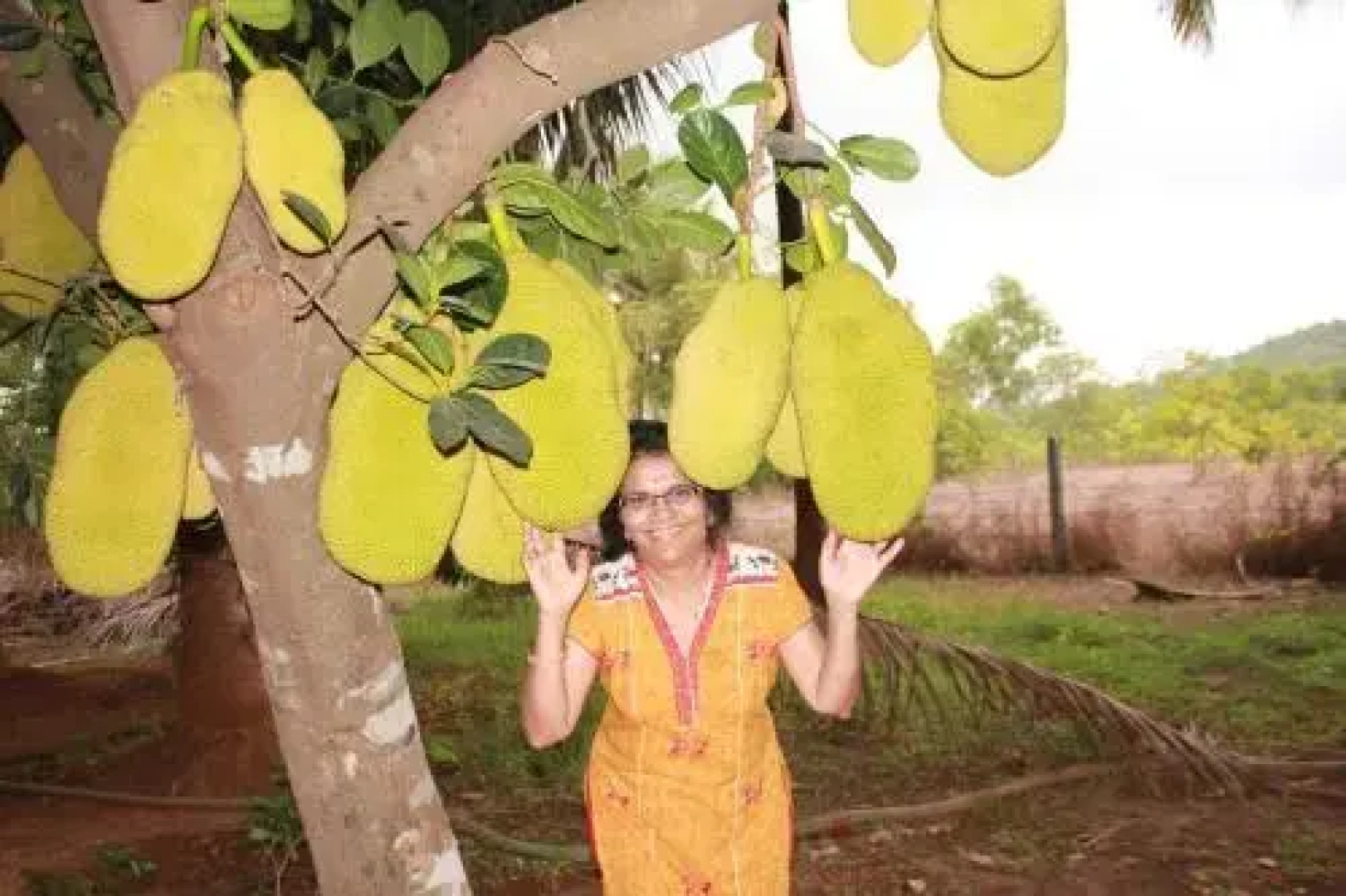 Sneha Farm House
